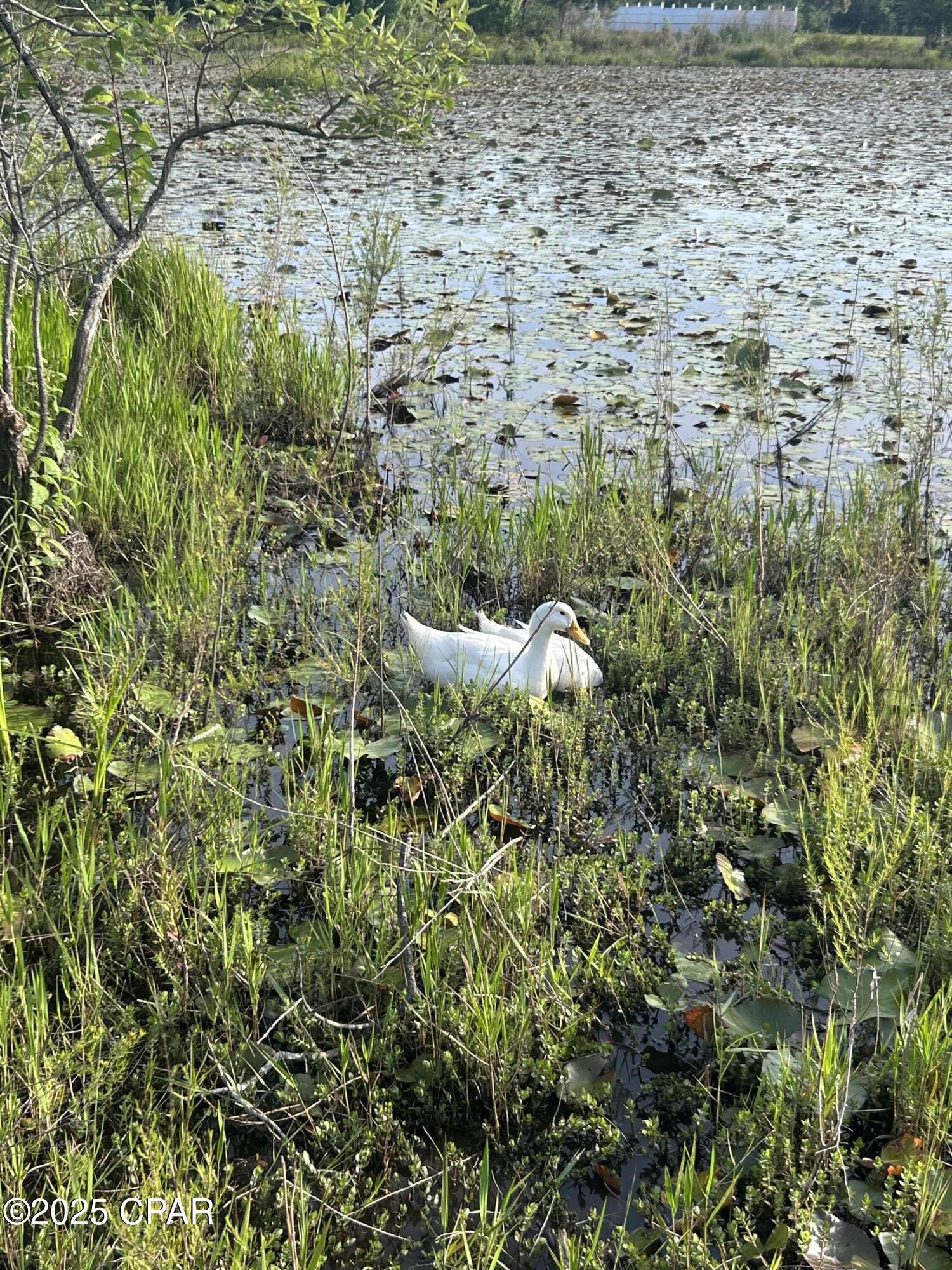 Indian Springs - Residential