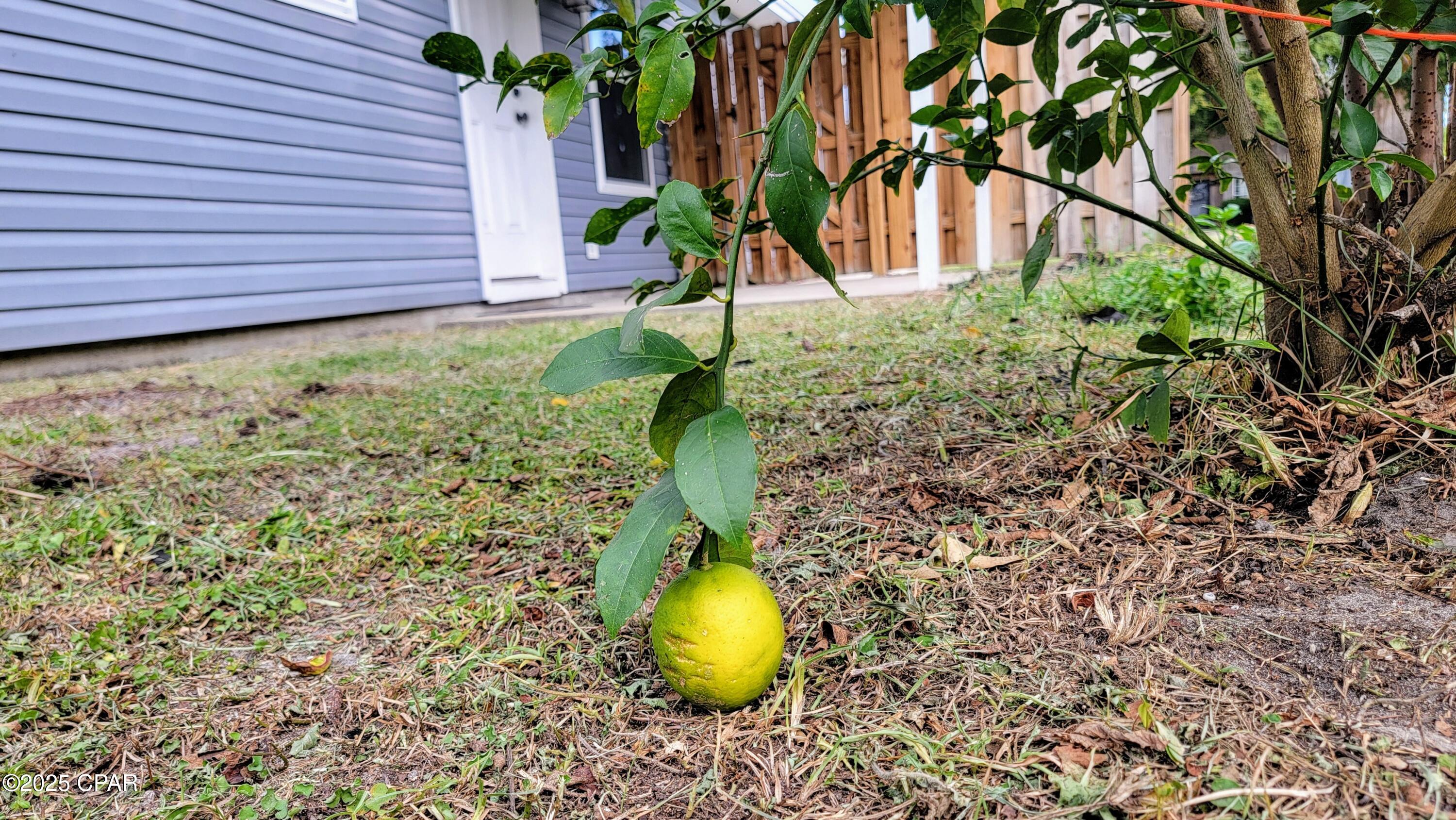 Chandlee 3rd Add To Pc - Residential