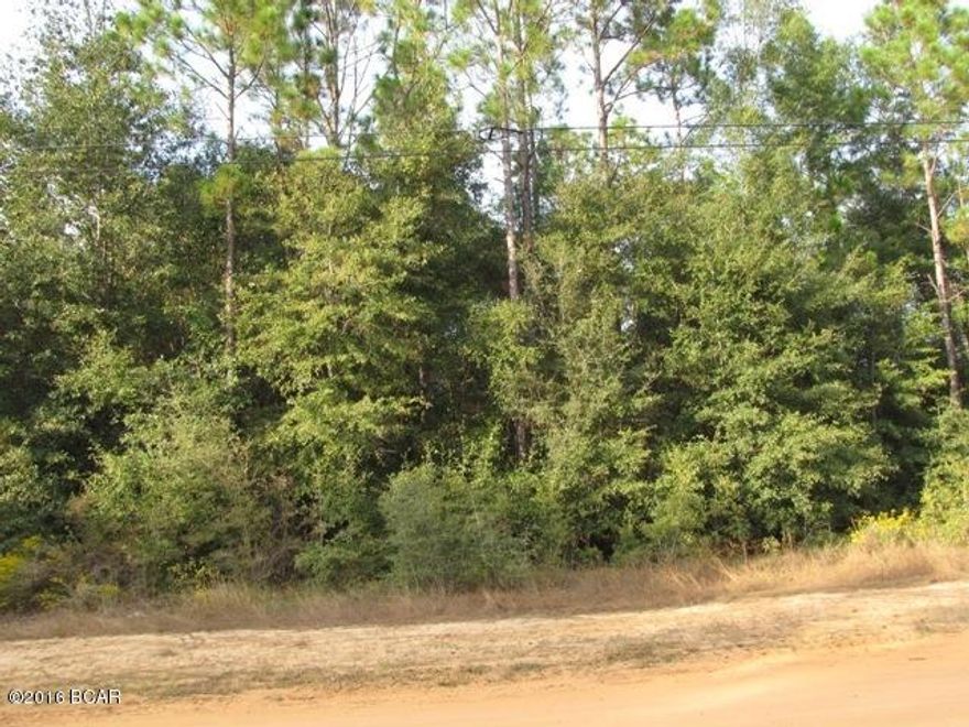 GREAT PRICE !! Level and Dry Approximately 1 Acre Vacant Lot less than 1/4 mile East of Hwy 231 in Fountain Florida. Conveniently located in desirable NorthWest Florida just 30 minutes North of Panama City for Shopping, Restaurants, Entertainment, and Beautiful Gulf Beaches. ACT NOW to take advantage of this GREAT BUY !