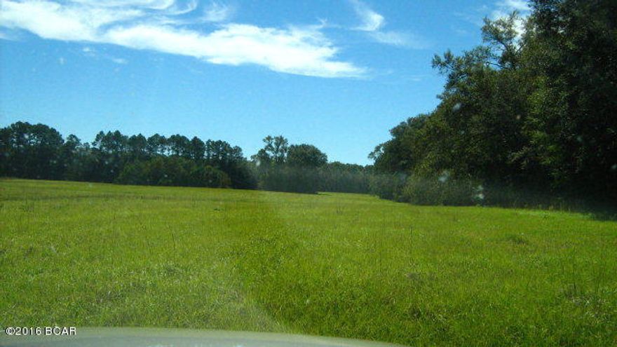 BEAUTIFUL 41.6 ACRES OF PASTURE LAND. HIGH GRADE HAY IS BEING CUT ON PROERTY. CHAPEL BRANCH RUNS THUR THE MIDDLE OF THE PROPERTY WITH A POND OFF THE BRANCH. THIS LAND IS PERFECT FOR COWS OR HORSES. THERE ARE SEVERAL BEAUTIFUL HOME SITES ON THE PROPERTY. MUST SEE THIS ONE. PRICED TO SELL.