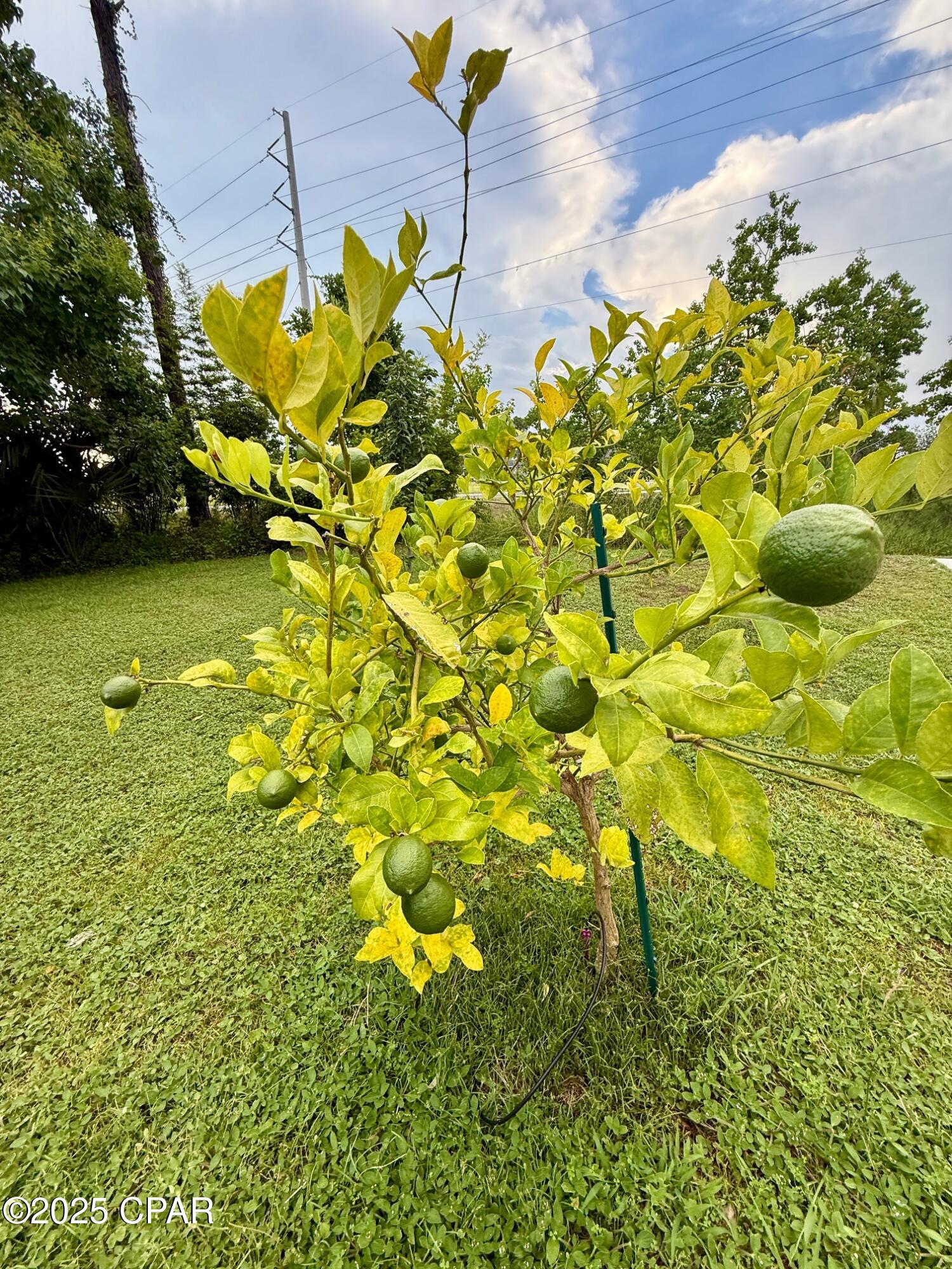 The Glades - Residential