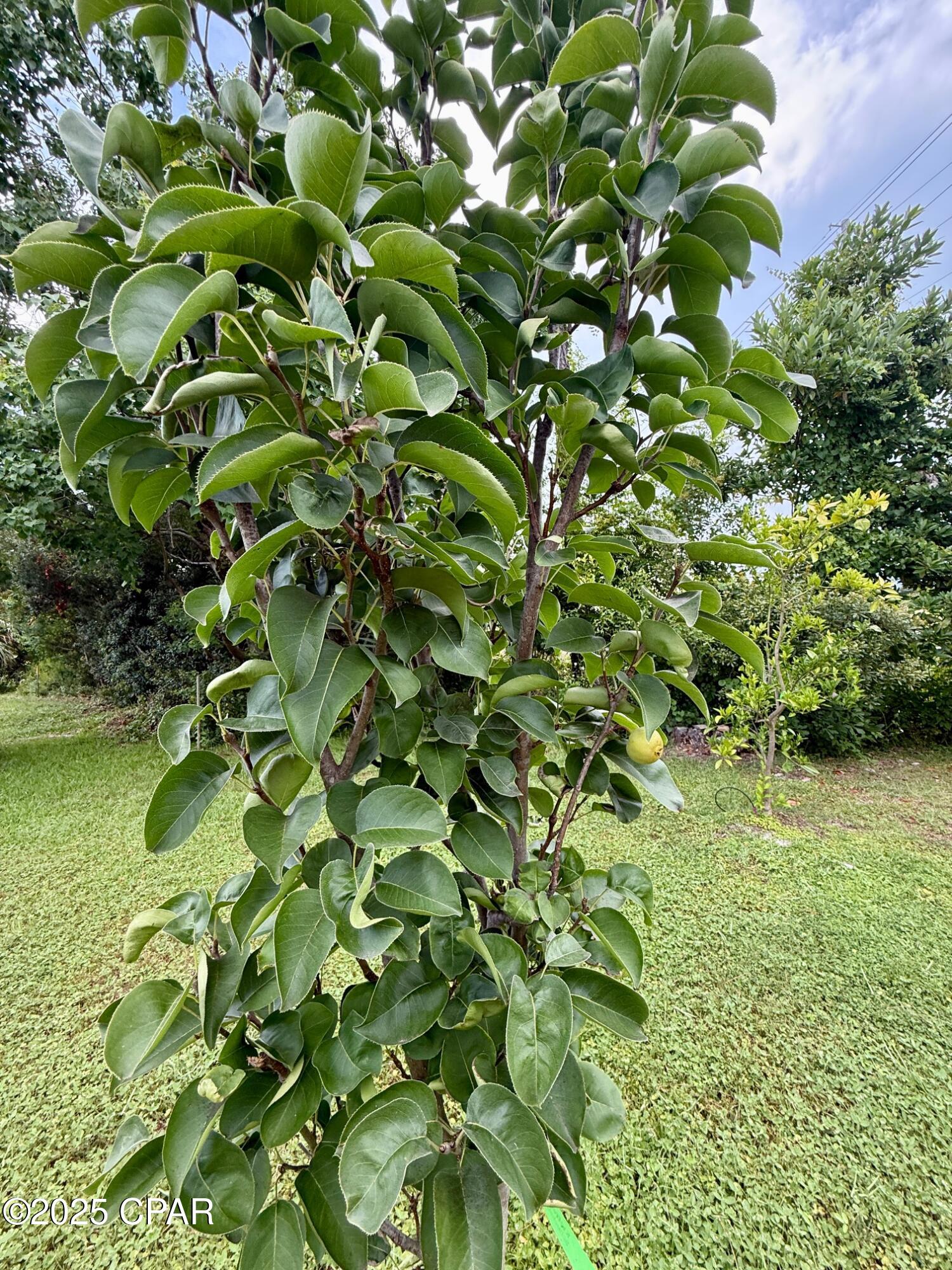 The Glades - Residential