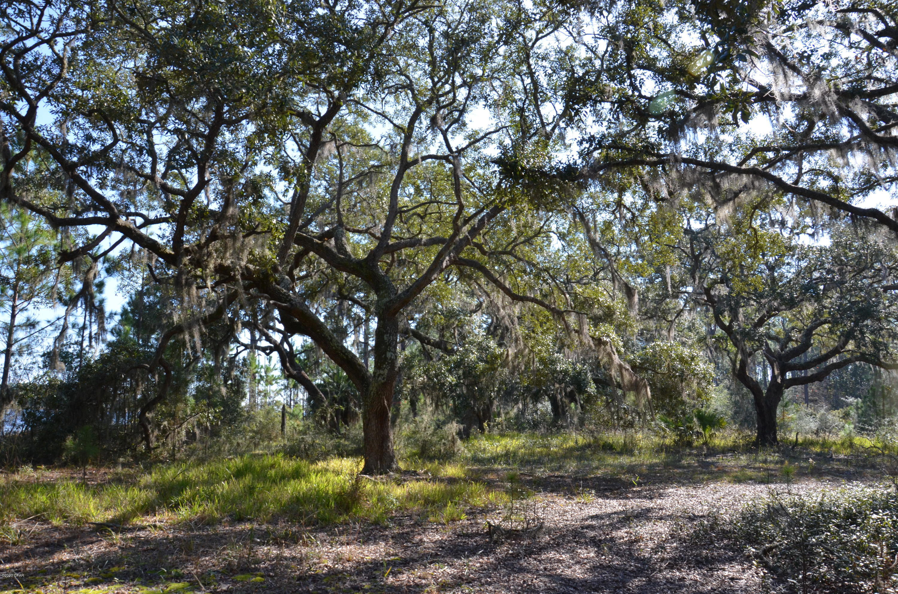 [No Recorded Subdiv] - Land