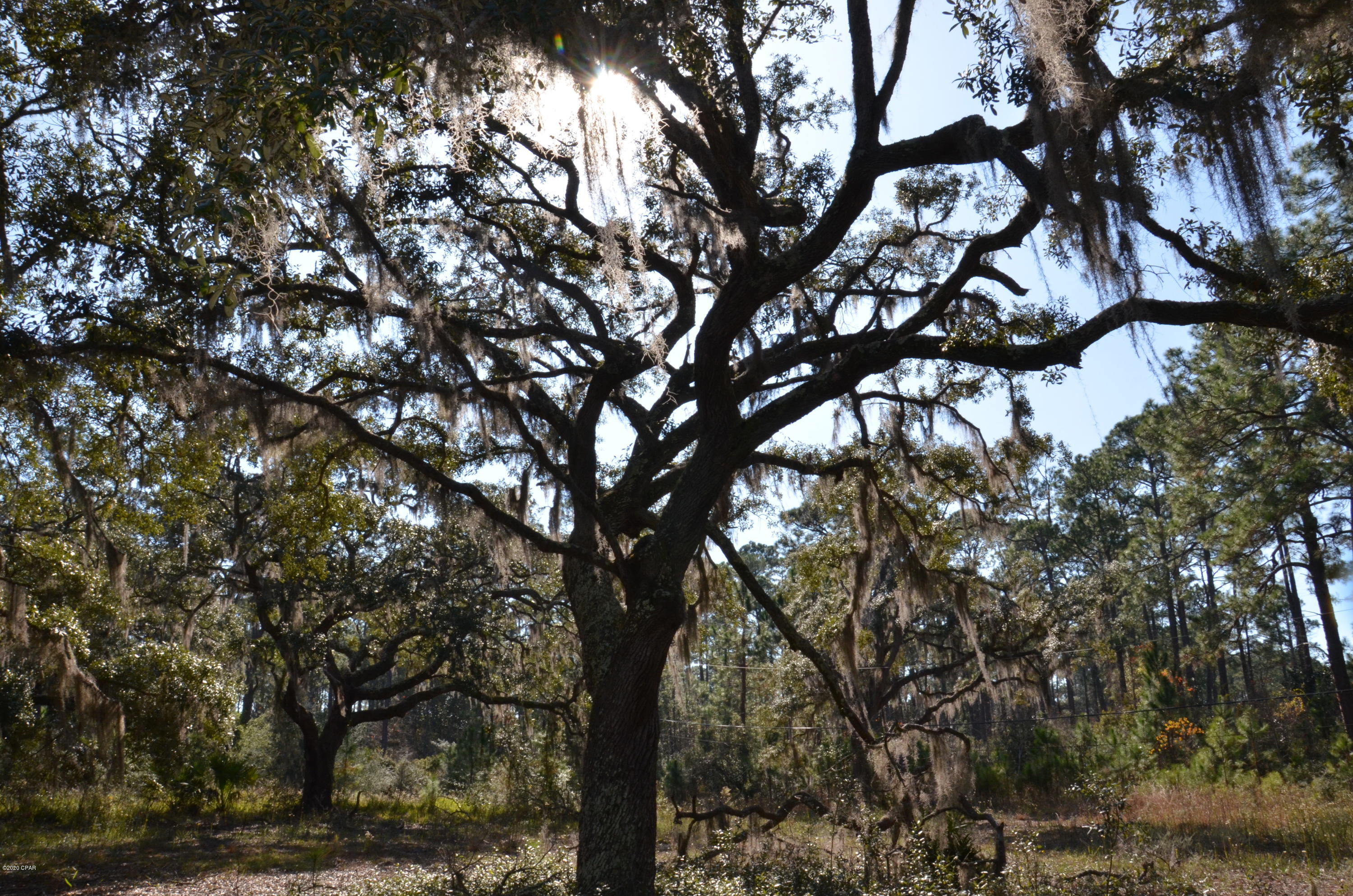 [No Recorded Subdiv] - Land