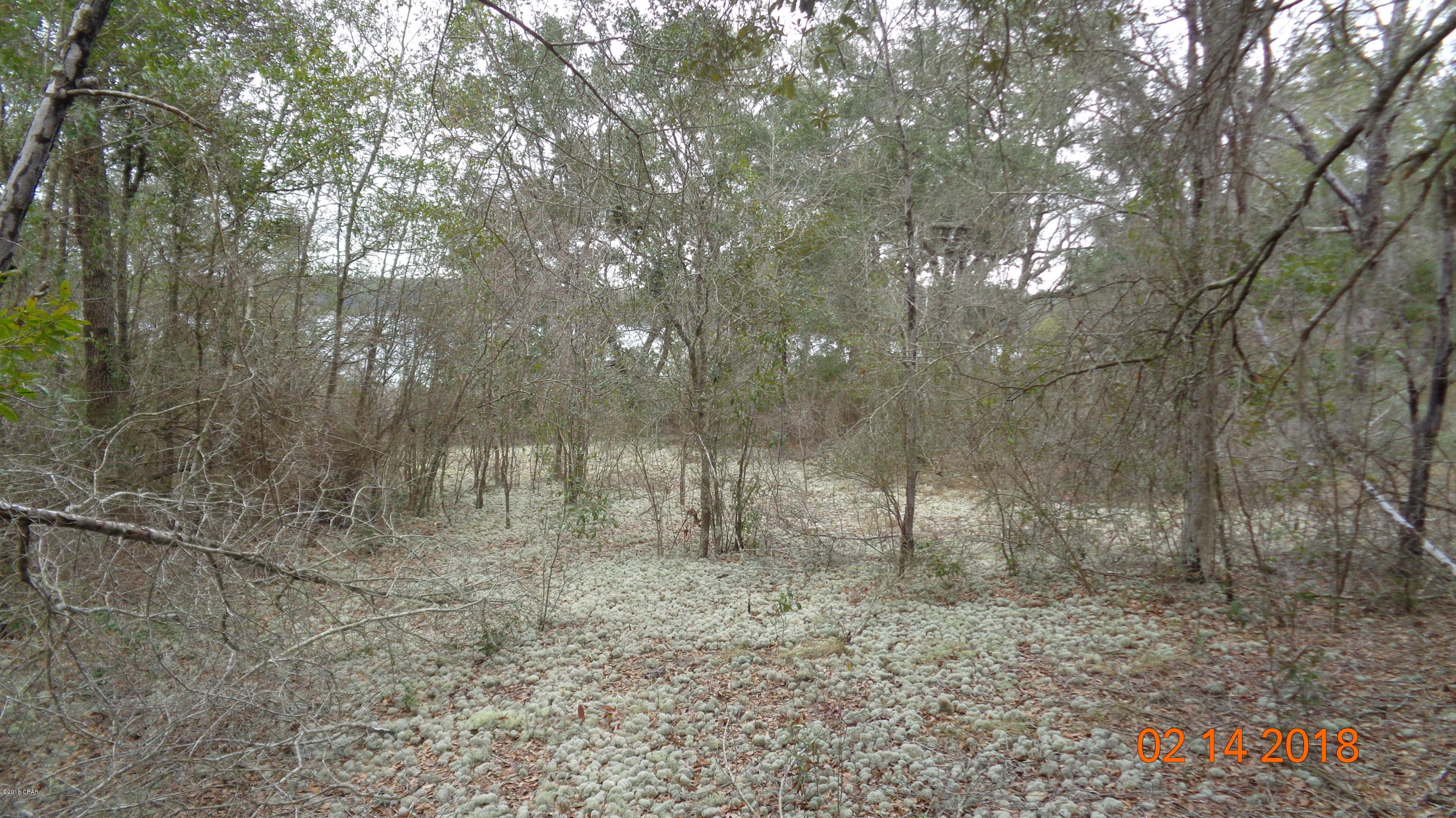 Leisure Lakes - Land