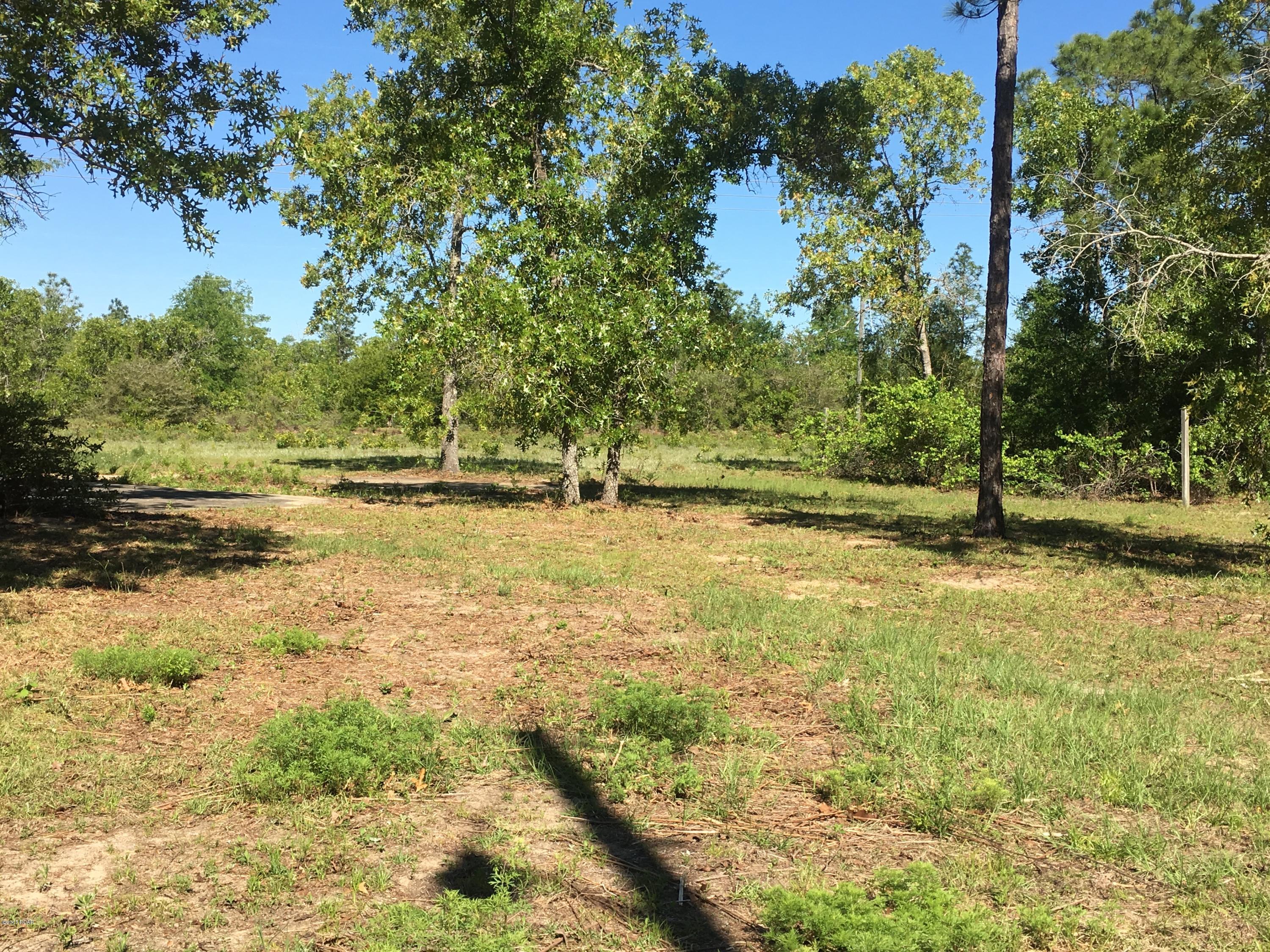 Buckhorn Creek - Land