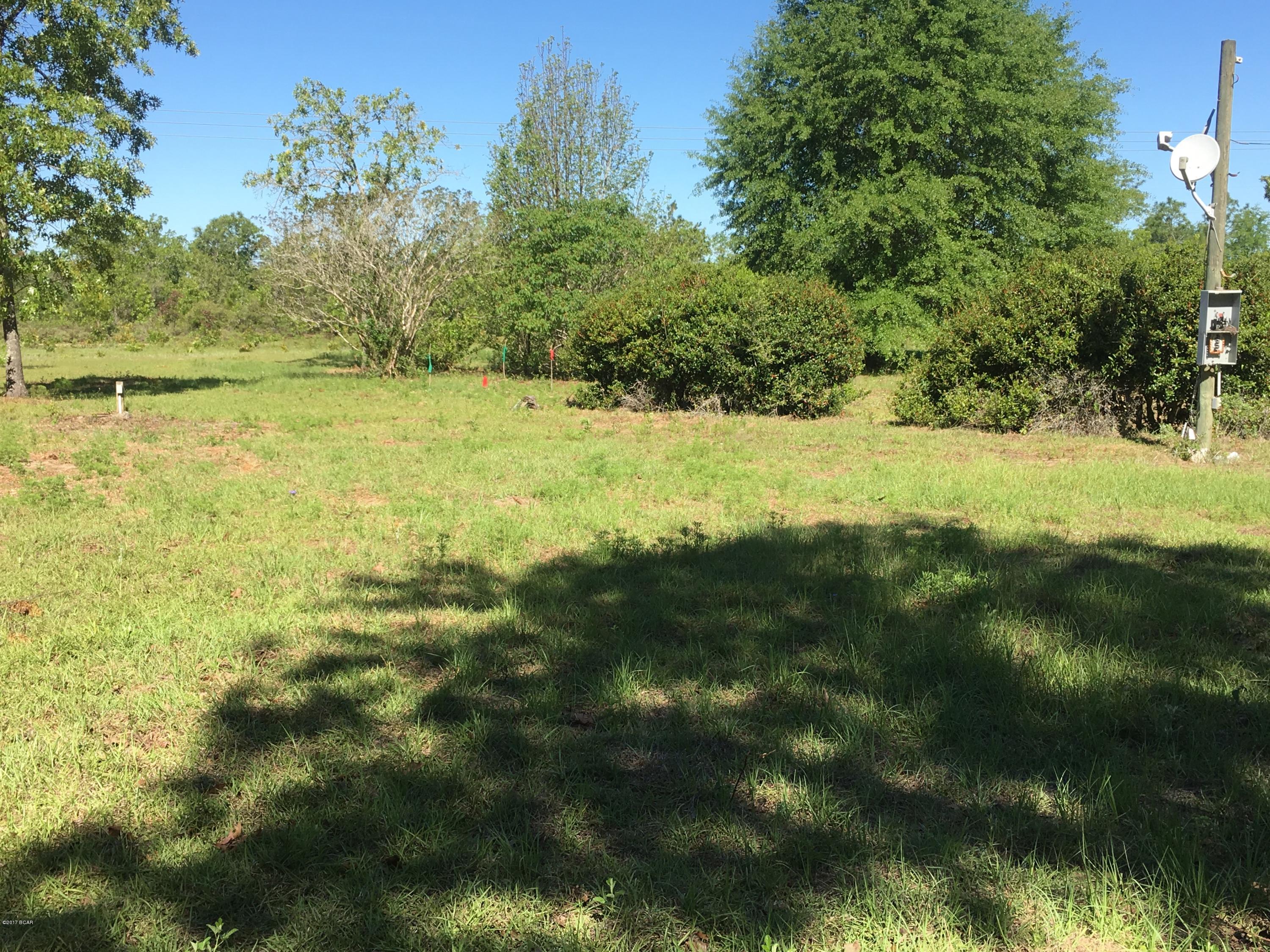 Buckhorn Creek - Land