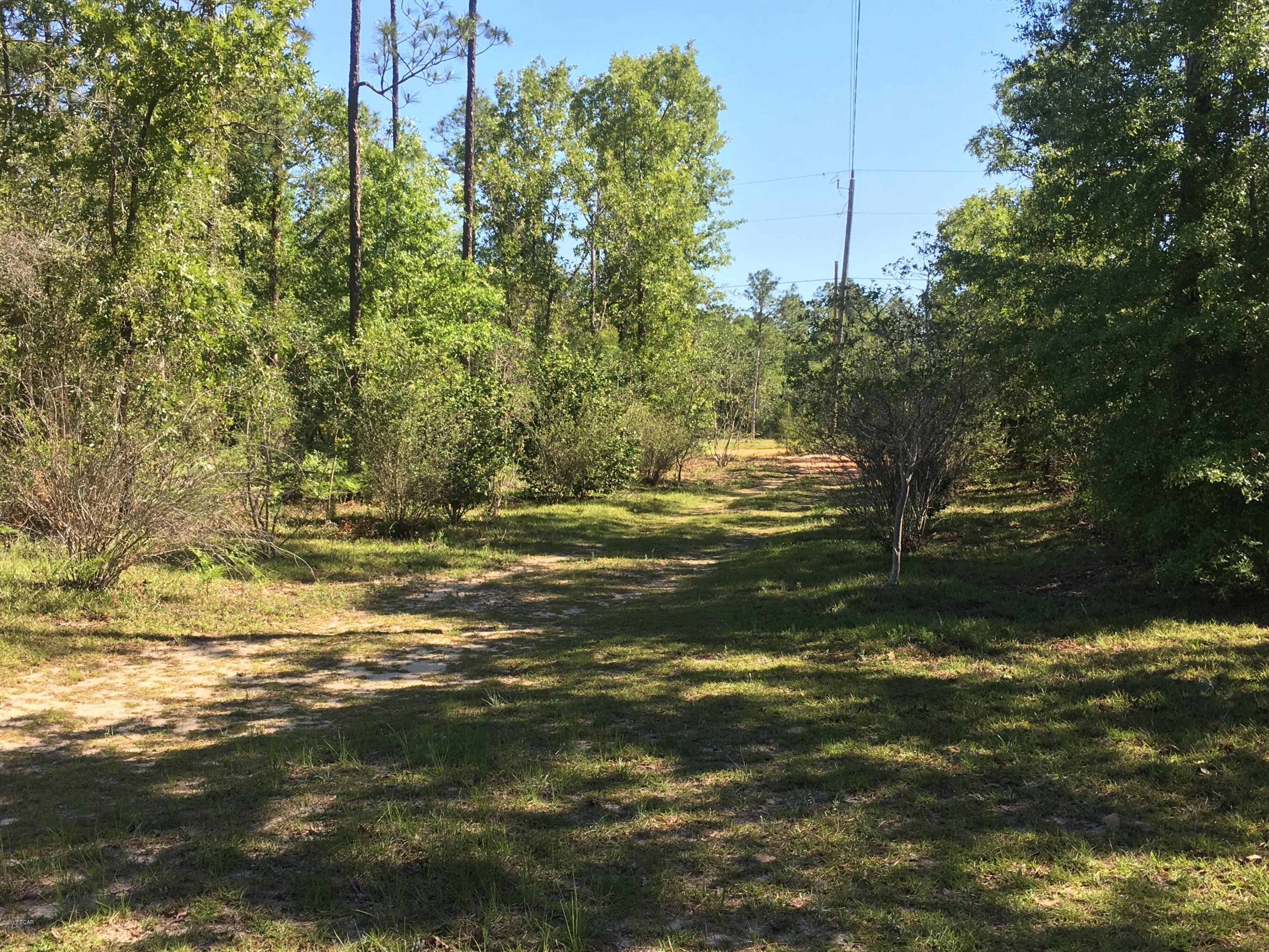 Buckhorn Creek - Land