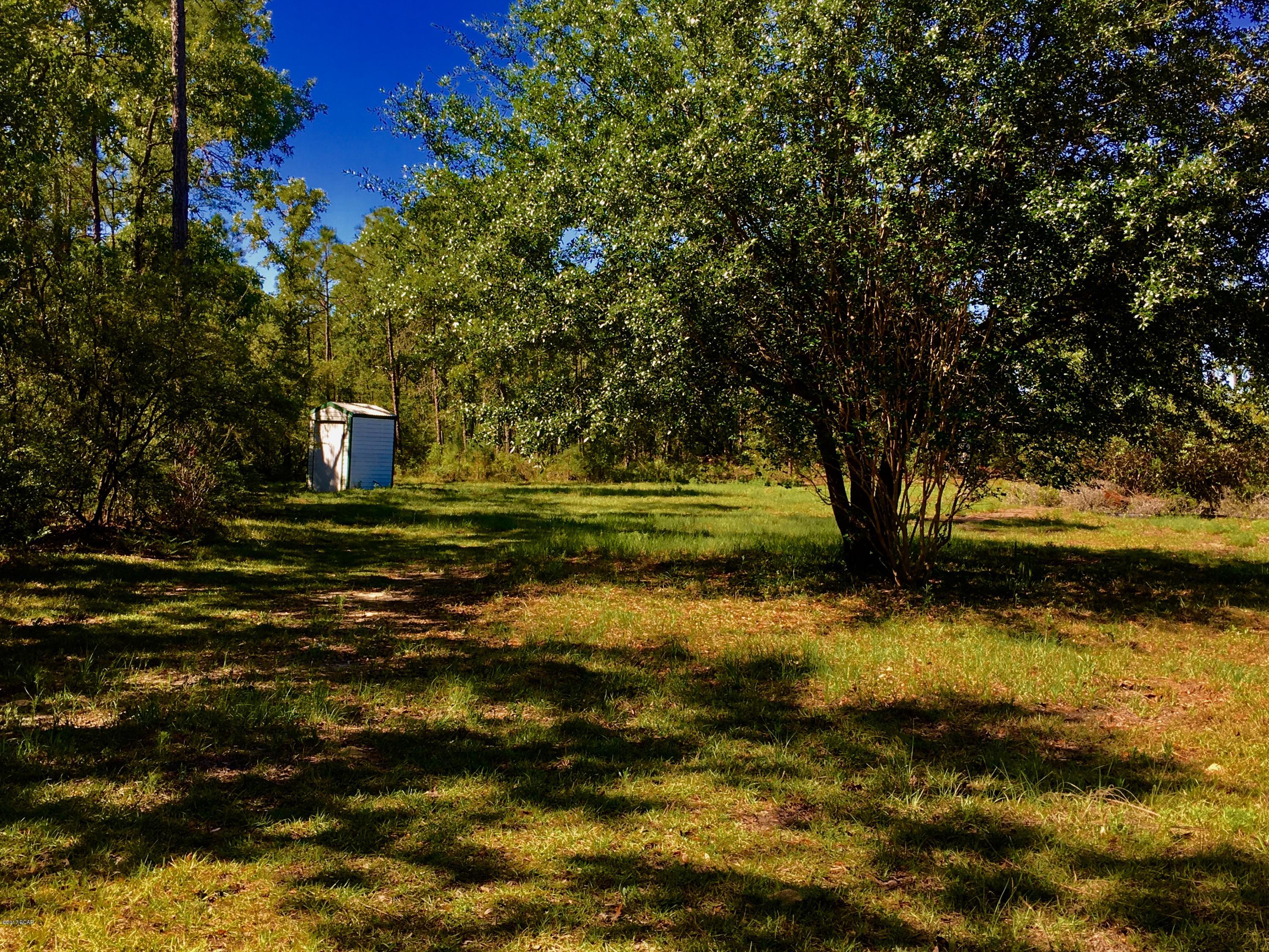 Buckhorn Creek - Land