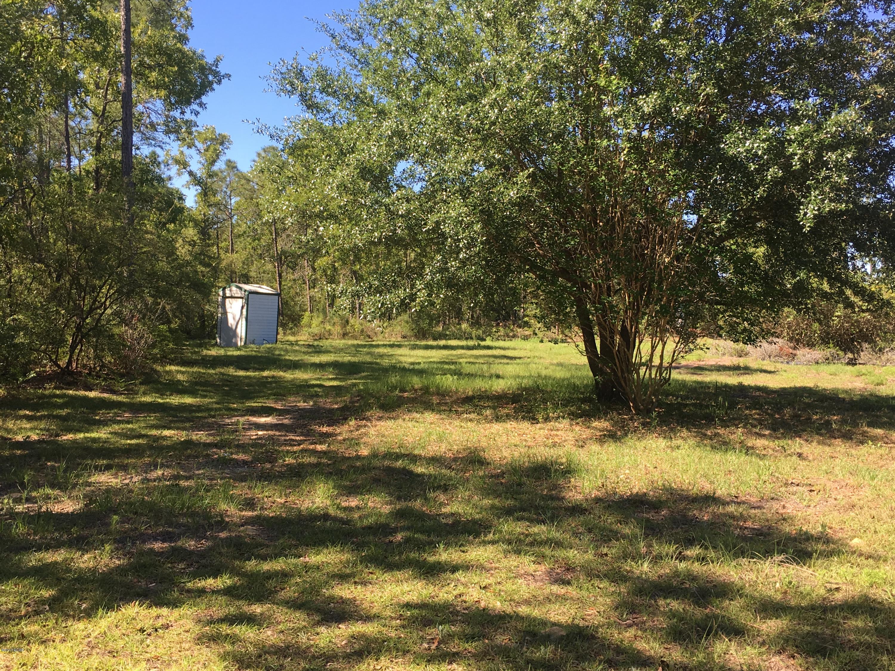 Buckhorn Creek - Land