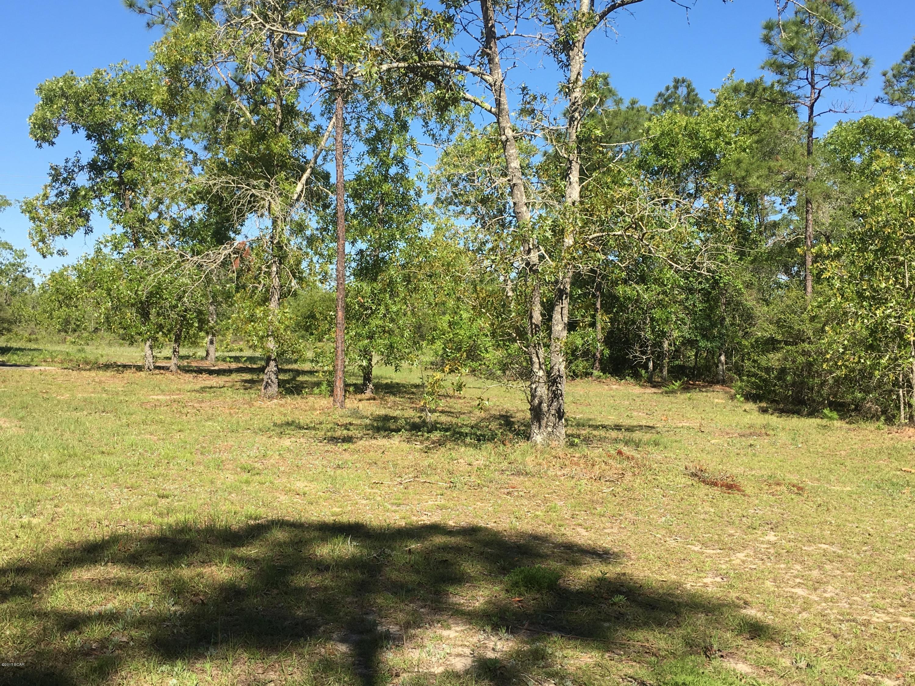 Buckhorn Creek - Land