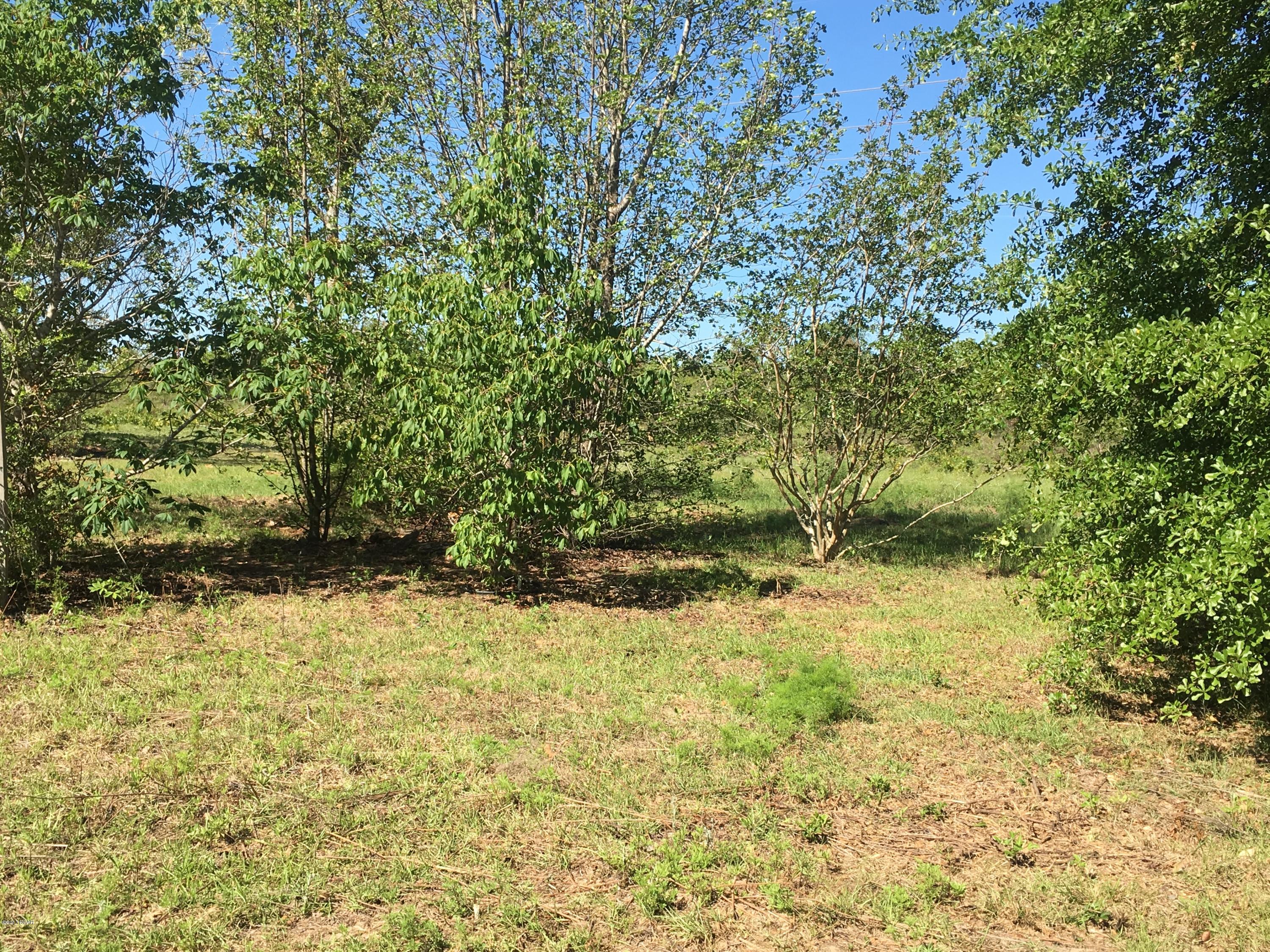 Buckhorn Creek - Land