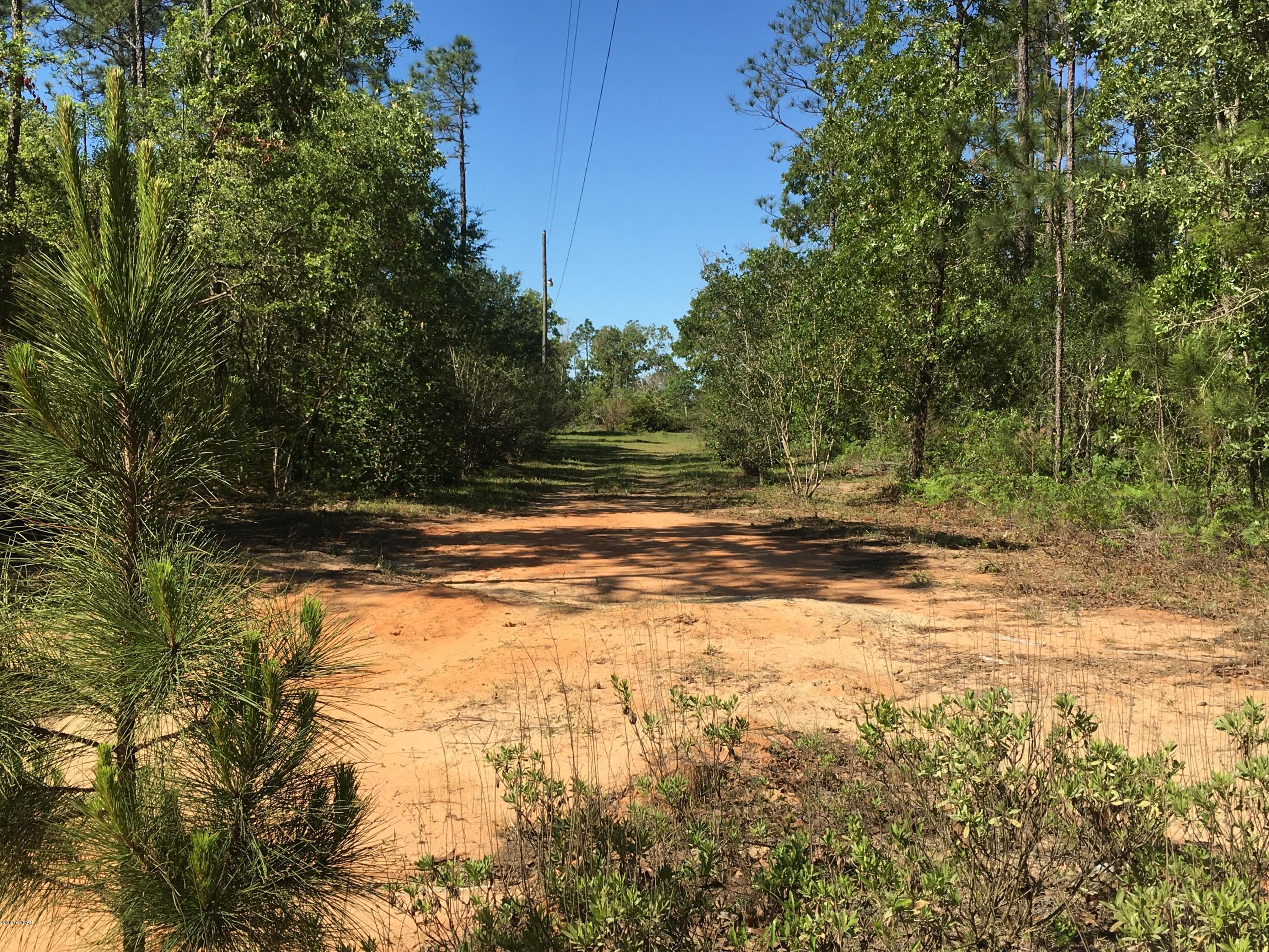 Buckhorn Creek - Land