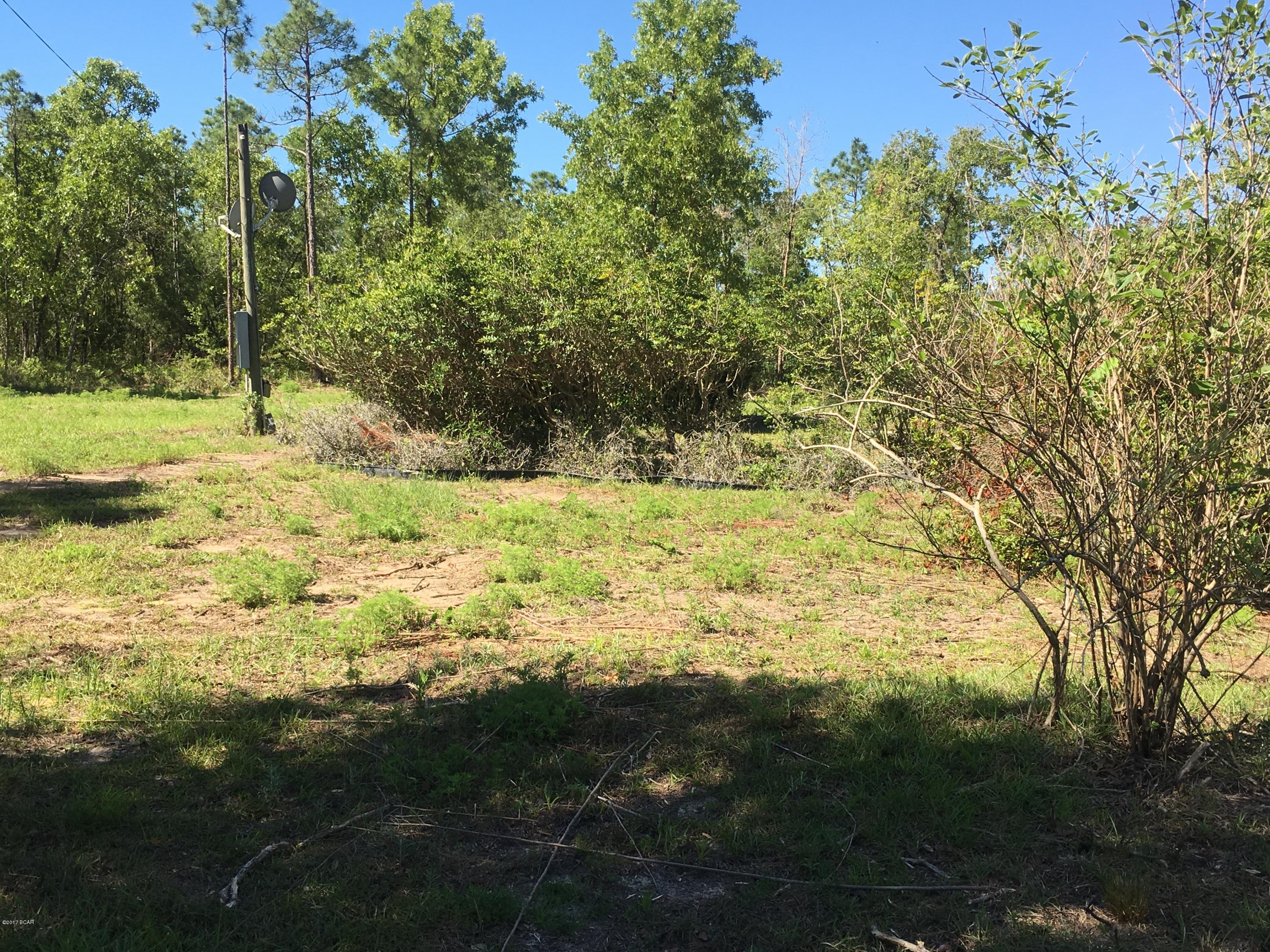 Buckhorn Creek - Land