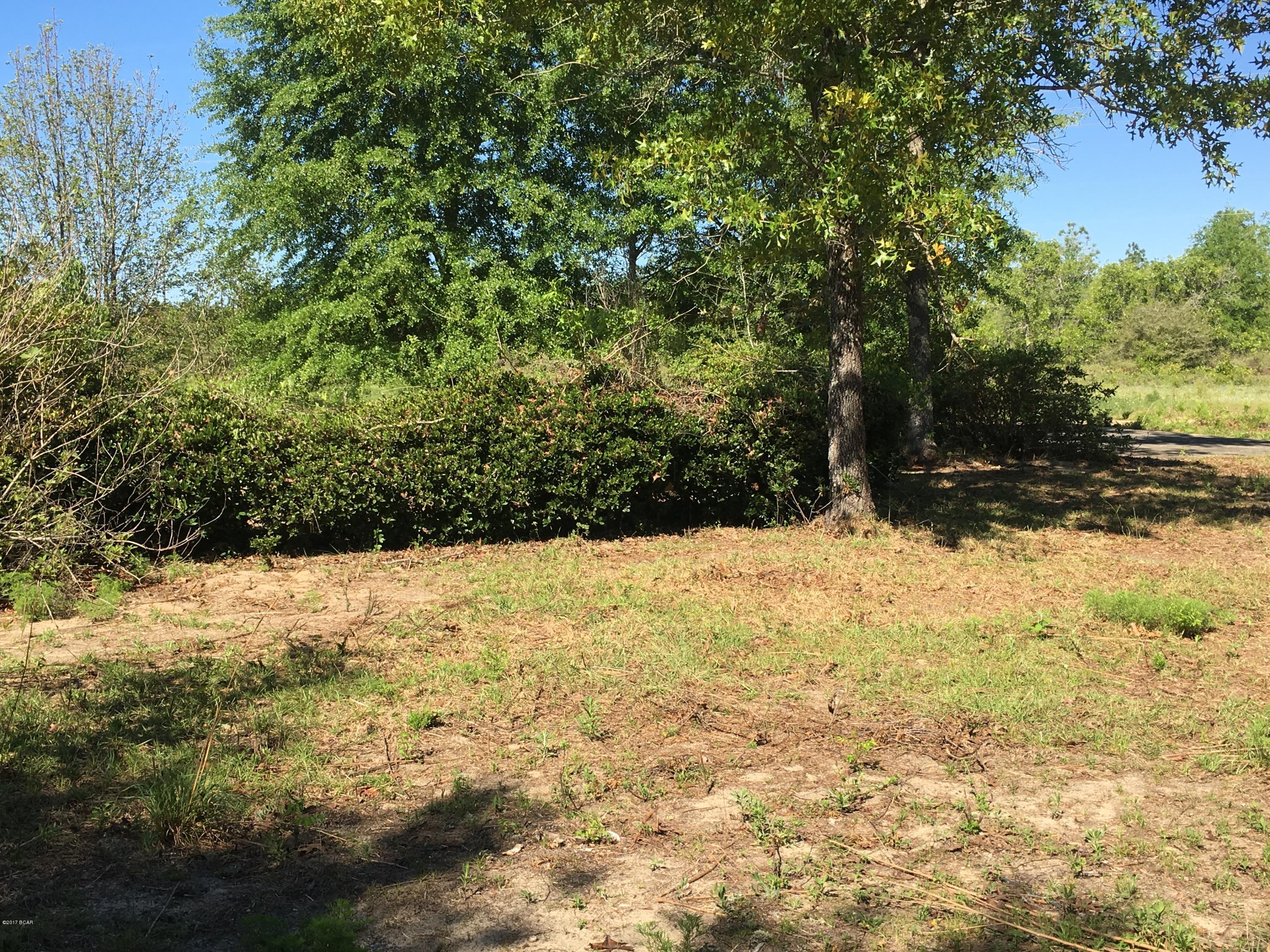 Buckhorn Creek - Land