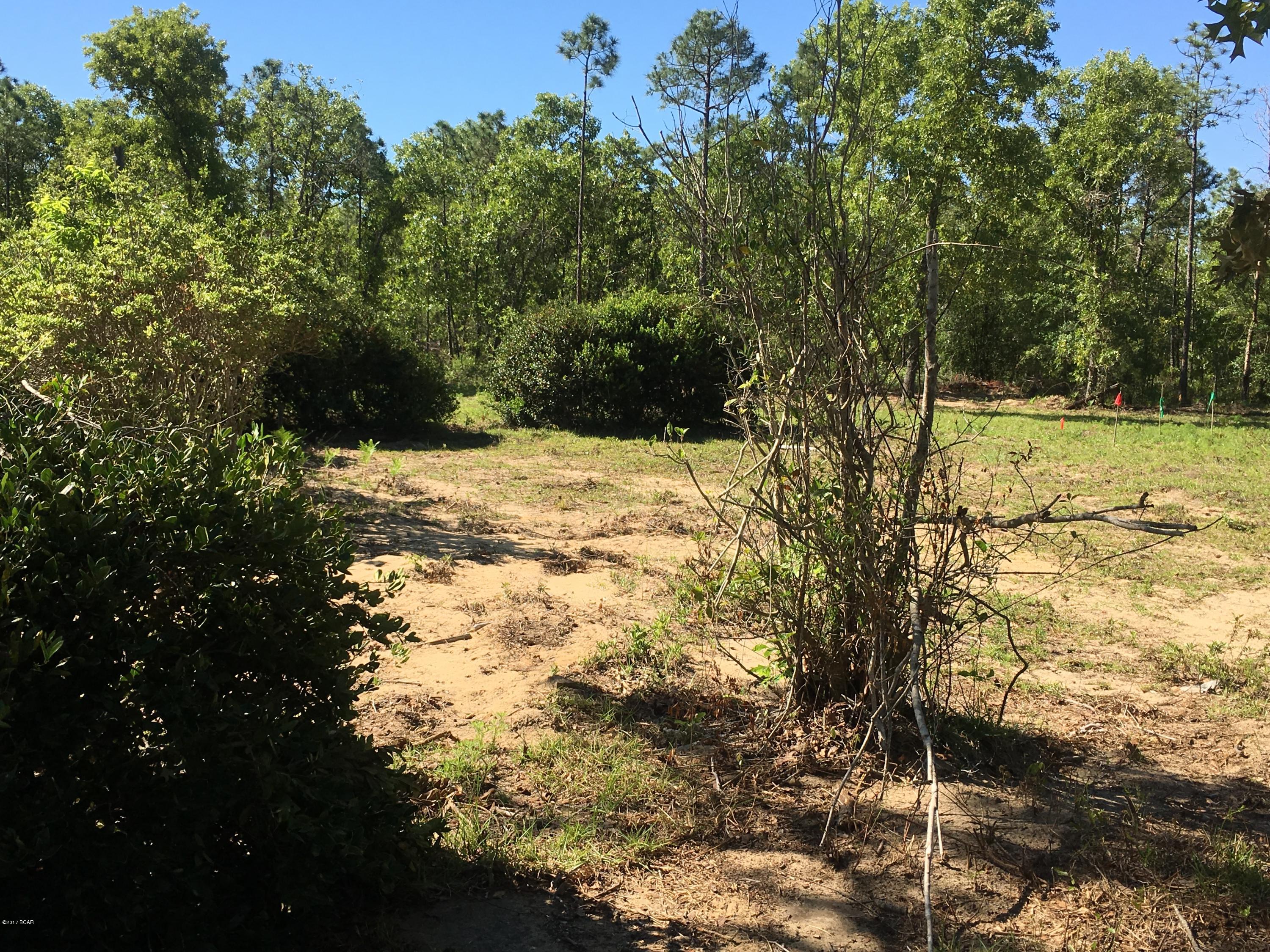 Buckhorn Creek - Land