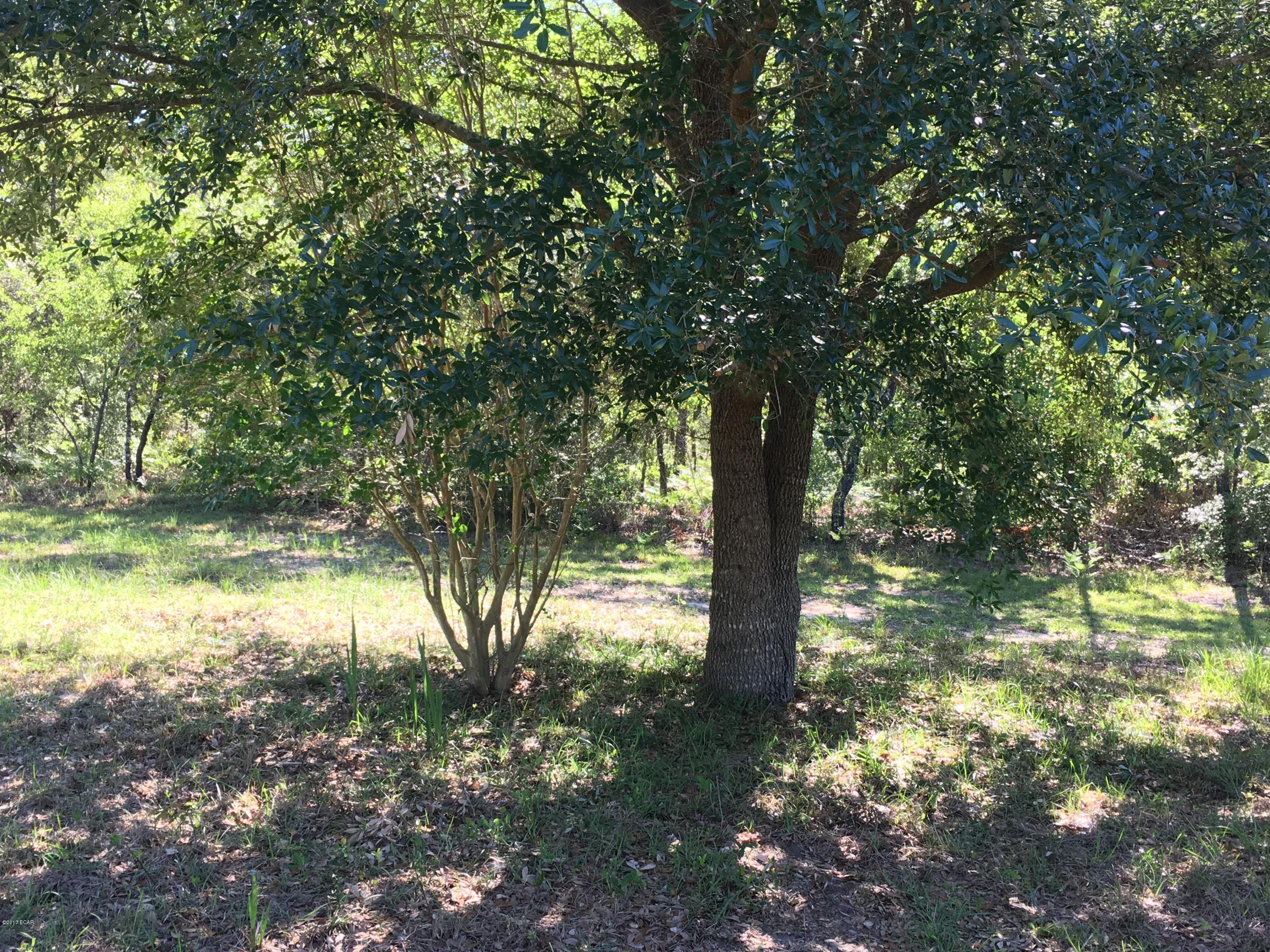 Buckhorn Creek - Land