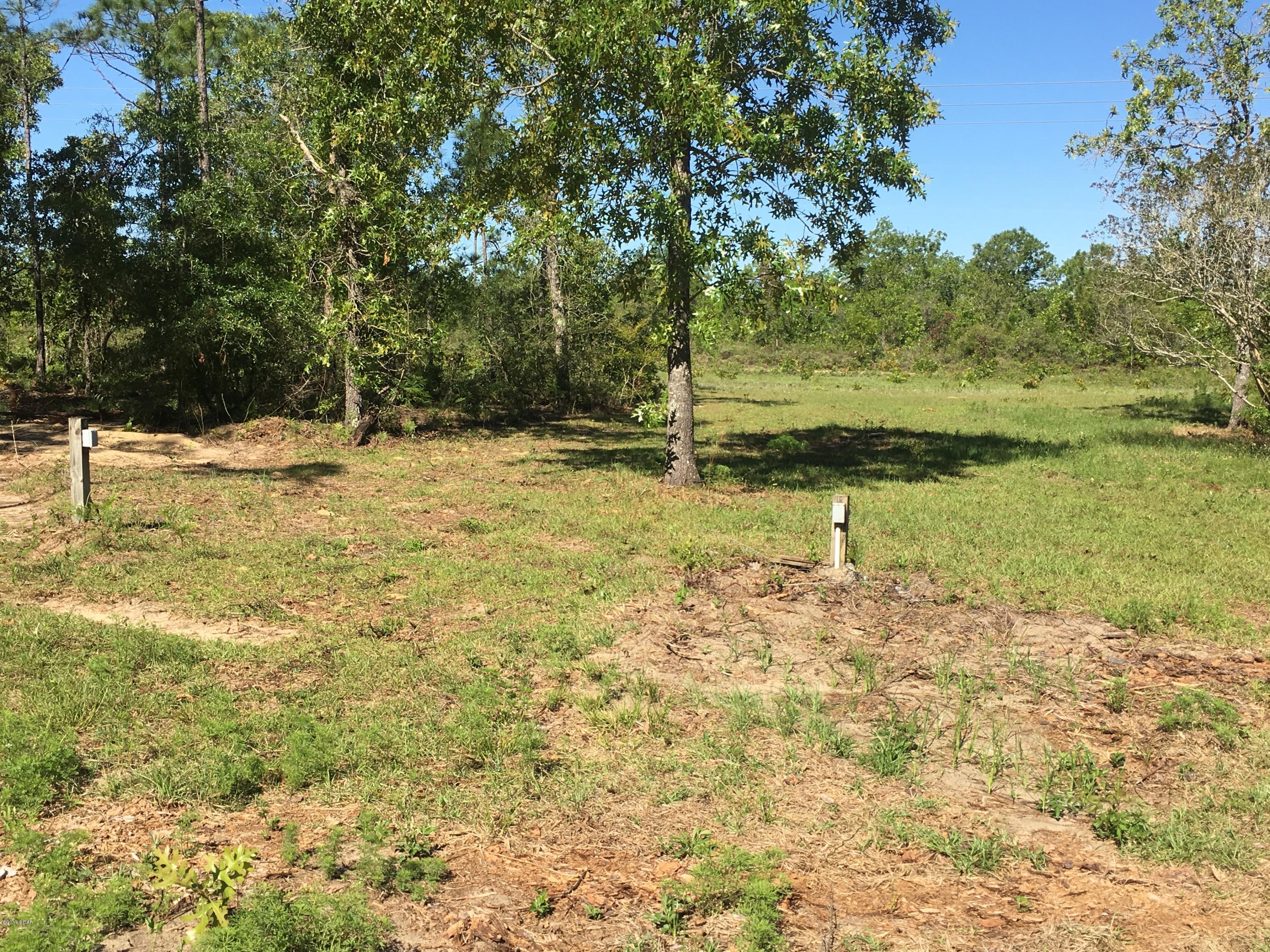 Buckhorn Creek - Land