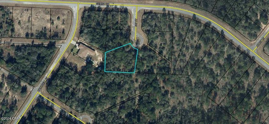 Great building lot in Beautiful Sunny Hills Florida. This parcel has been left to its original Florida landscape which allows it to become YOUR Blank Canvas AND your next ADVENTURE. Build your dream home or add it to your portfolio for the future. These parcels also make a great graduation gift, wedding gift or birthday gift. Set in the perfect location for meeting all the requirements if you want the Peace and Quiet of the country setting and only minutes away from some of the World's Best Fishing, Hunting, Swimming and spending time in Nature. Also only minutes away are The World's Most Beautiful Beaches Panama City Beach and Famous Pier Park Shopping, Tyndall Air Force Base, Marianna Caverns, Cool Running Deep Water Springs where there is Boating, Kayaking, Camping, Snorkeling and Relic Collecting. Florida is home to so many indigenous species of plants and animals you will never tire of being outdoors. This parcel is priced to move quickly so call today.