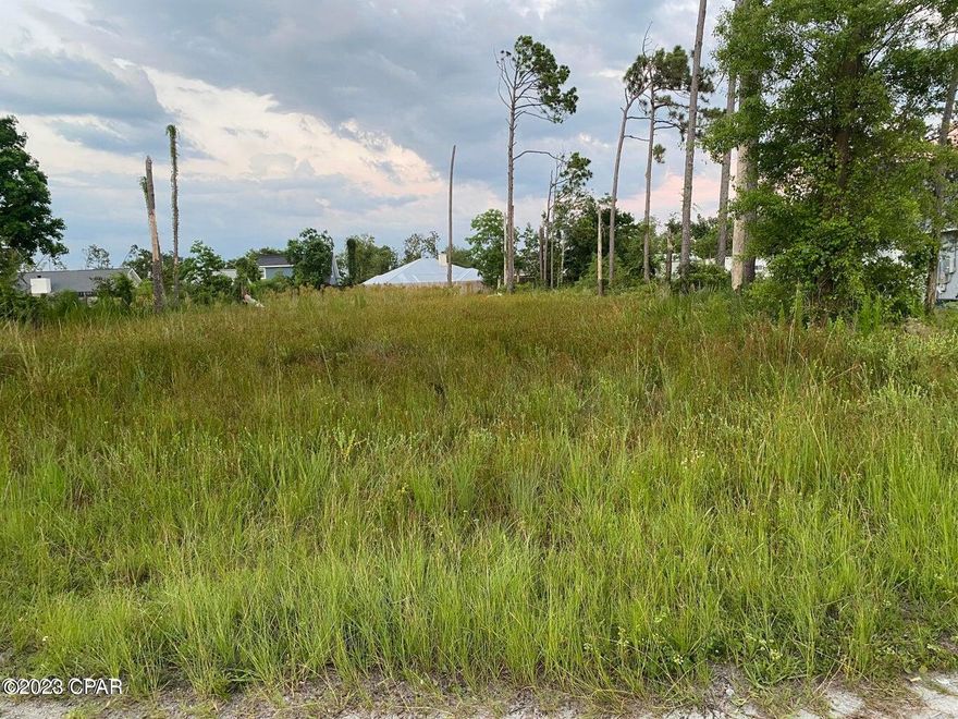 Residentially zoned lot in a developed neighborhood; Just over a half acre residential lot. This big beautiful lot will serve your future housing needs; USDA eligible lot
