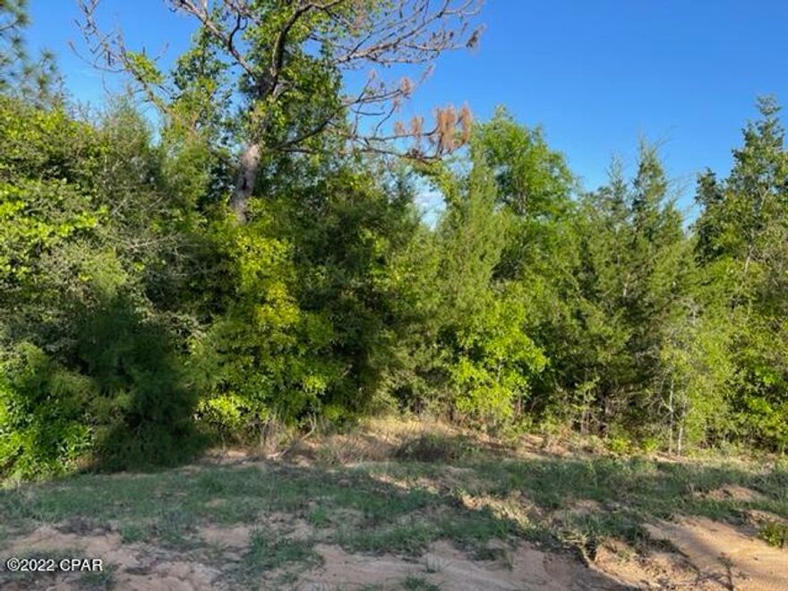 This is a nice wooded residential lot in beautiful Compass Lake Hills.   There are nice houses in the neighborhood and this lot would make a great place for your home.  There are lakes near by to enjoy.  The location has easy access north to Marianna for shopping and to the south to Panama City on the coast where there are the most beautiful beaches to enjoy1