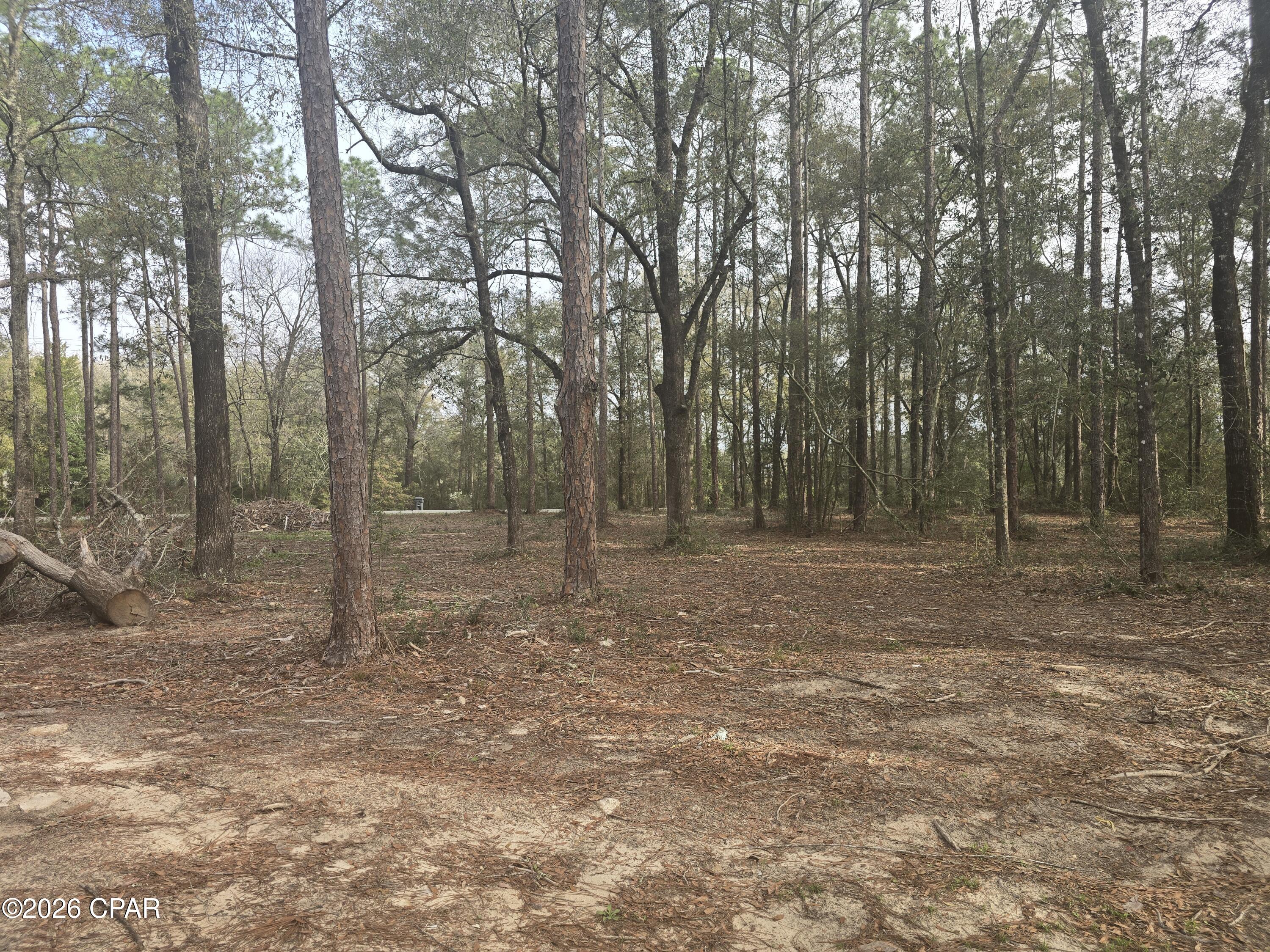 Juniper Lake - Residential