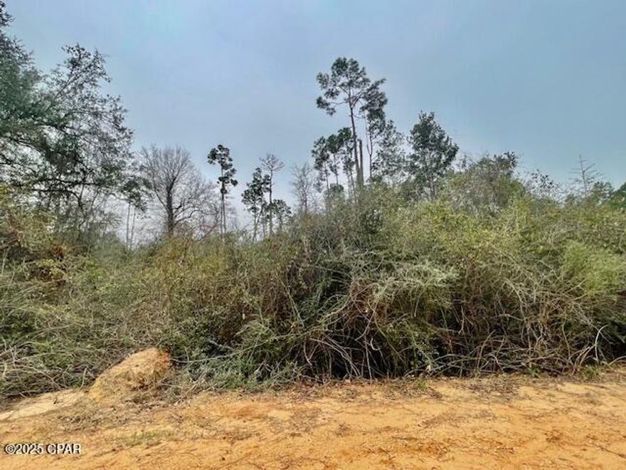 TWO Beautiful lots side by side in Compass Lake Hills just waiting for you to build your dream home on and have lots of room!  Manufactured homes are allowed here also.  If you are looking for a peace and quiet area, this is it!  Lots of wildlife in the area to enjoy.  Watch for deer, turkey all kind of birds and butterflies here.  This location has easy access south to Panama  City on the coast and north to Marianna for shopping,