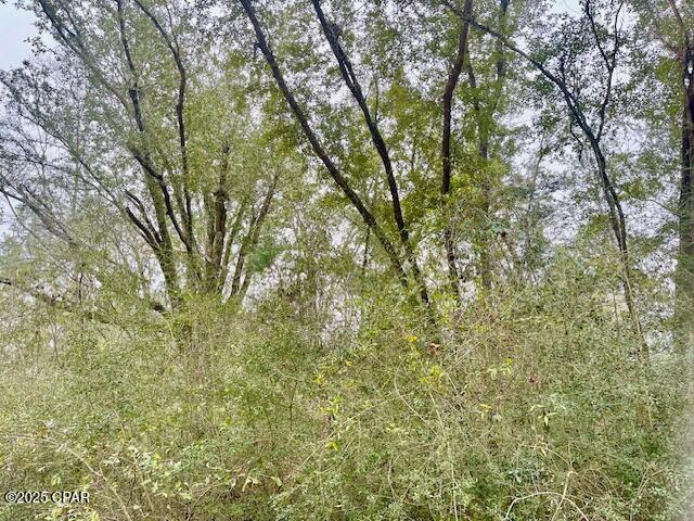 Compass Lake Hills Unit 2 - Land