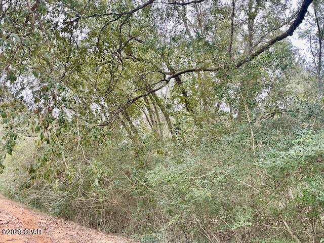 Compass Lake Hills Unit 2 - Land