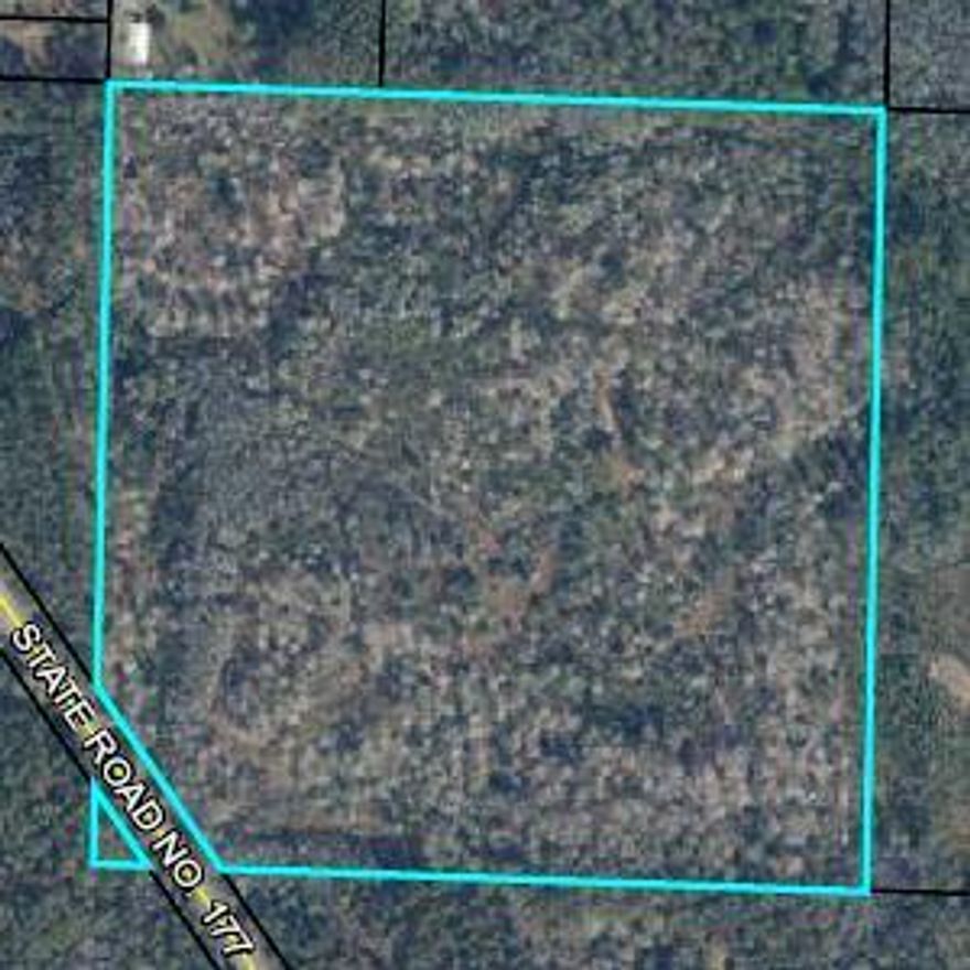 Escape to your own 40 acres of paradise and actually be able to hunt or develop this beautifully wooded acreage.  This property is adjacent to approximately 400' of State Rd 177 and approximately half of a mile away from Hwy 79.  All measurements are approximate and should be verified by the buyer.