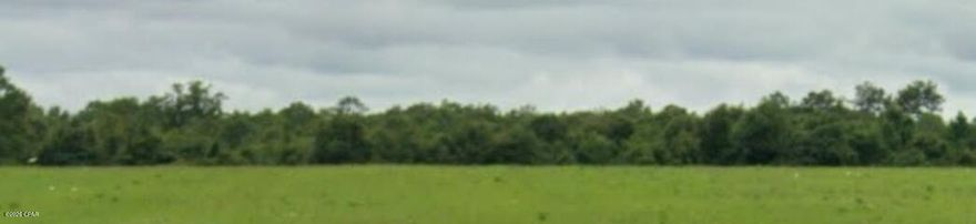 20 acres in the country within a short drive to Graceville, Marianna, and Chipley. This farm property has approximately 13 acres of clear land that is ready for you to plant your crop. The other acreage is wooded.