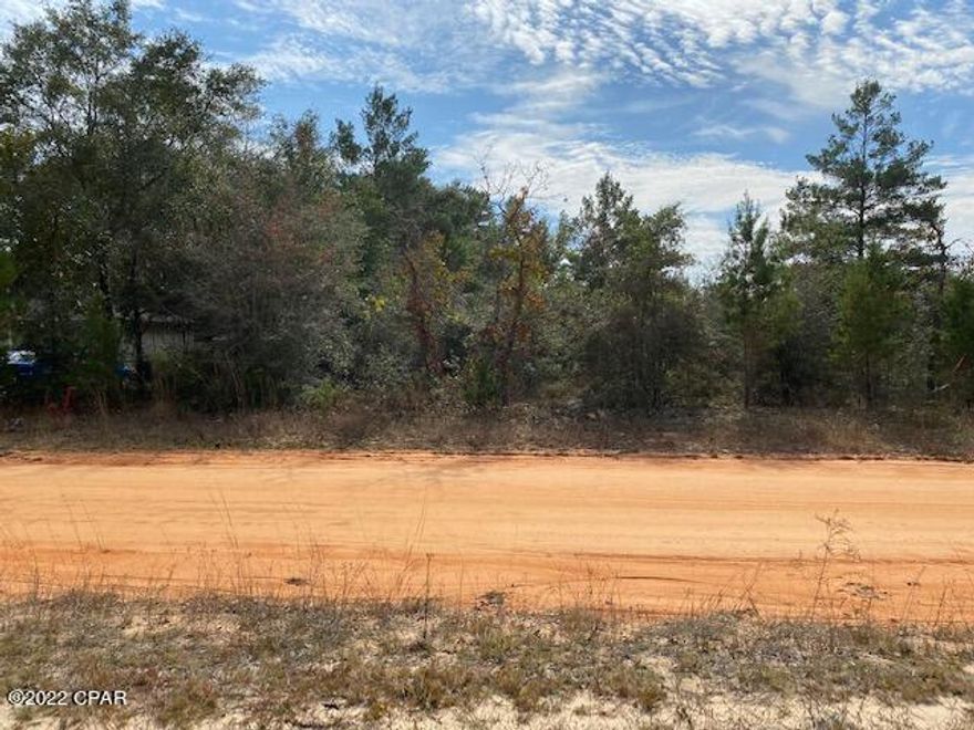 This property is perfect for building a home or setting up a trailer. It is located in the fast growing community of Mossyhead which is halfway between DeFuniak Springs and Crestview, Florida on a dirt/clay road. Access to Exit on I-10 is only a few miles away. Septic, Electric and Water needed. Sign is on the property.