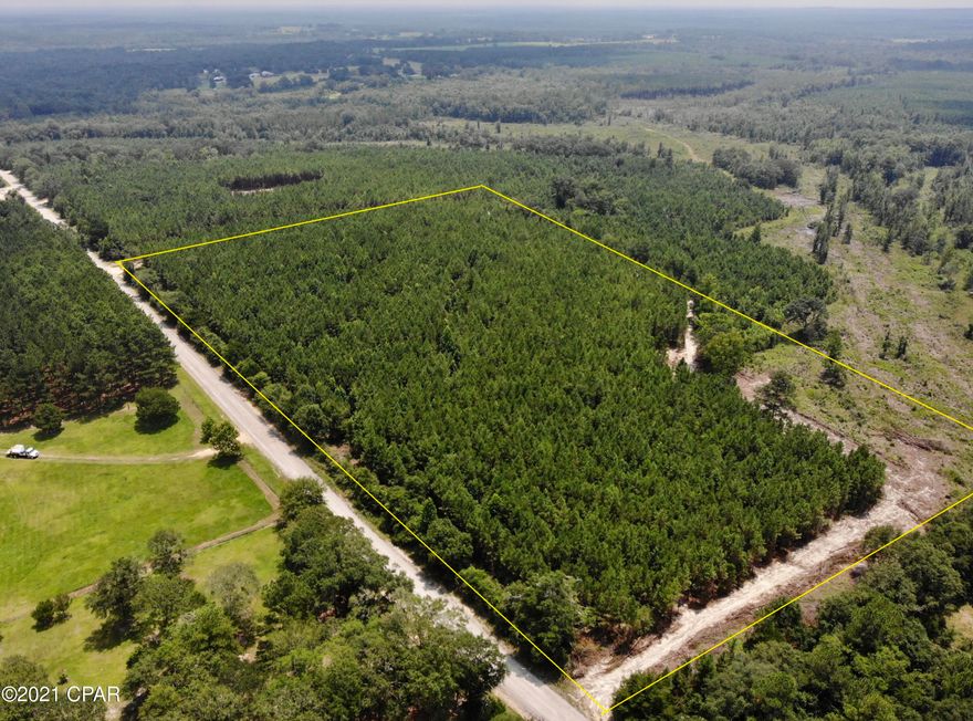 16 acre home site located at 1380 Coursey Road, Westville FL.



90% planted pine trees - perfect for a secluded and rural homesite.



New driveway and new road around the entire property. Tons of options and lots of potential.  Good deer hunting in the area!



1050ft of road frontage on Coursey Road - Coursey Rd is a county-maintained road that's paved w/ crushed asphalt.



Located on the west side of Holmes County Florida.
