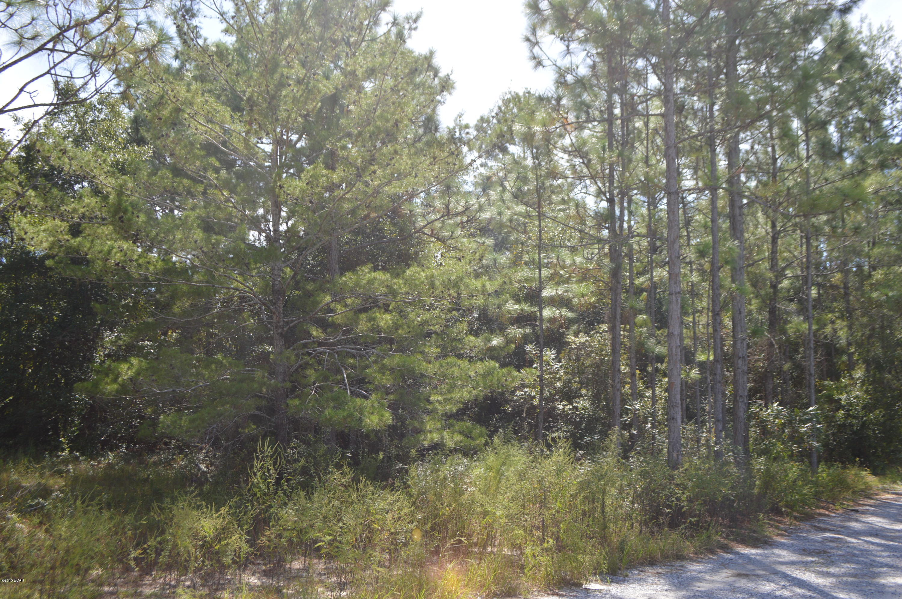 Imperial Oaks - Land