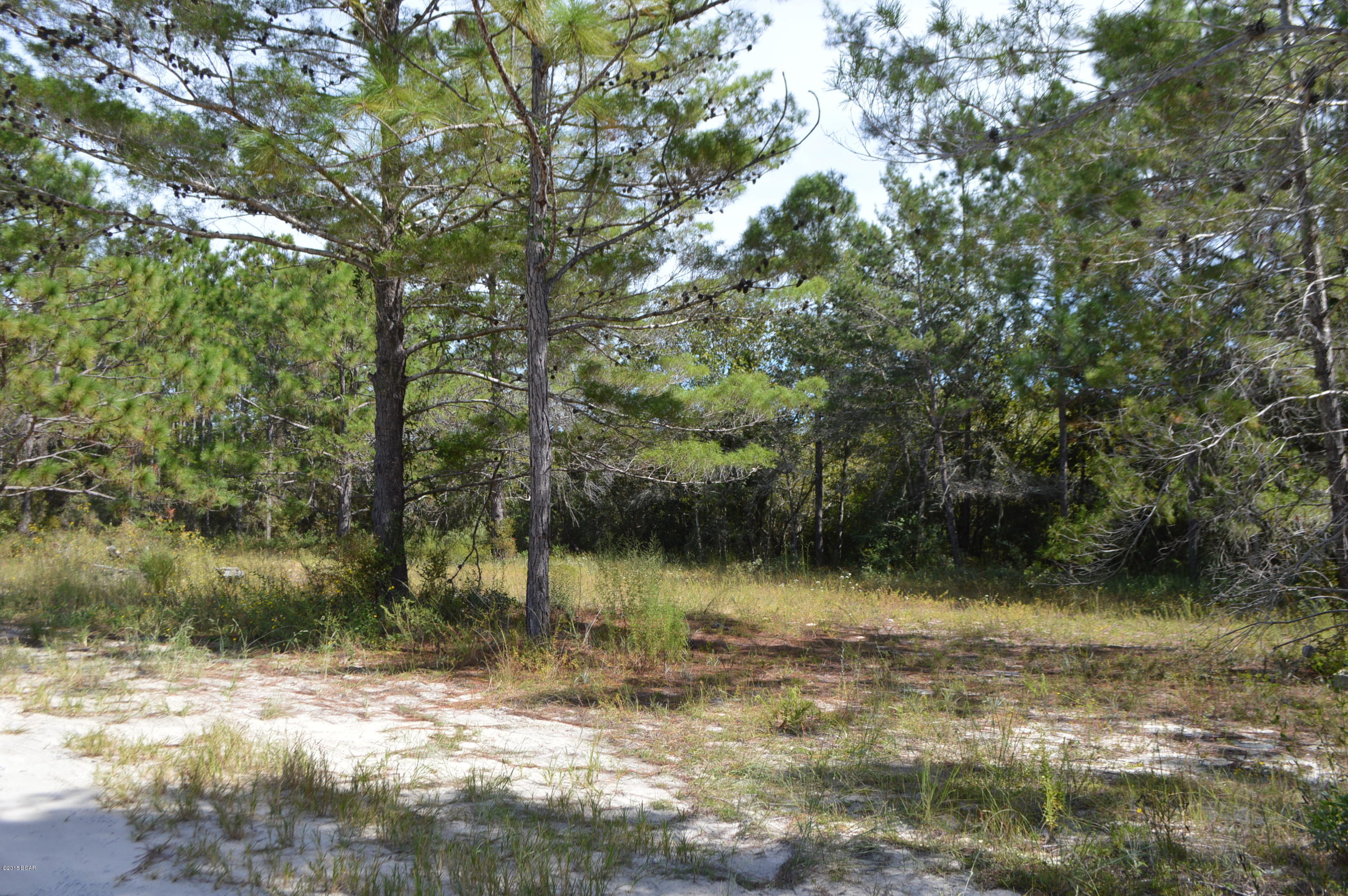 Imperial Oaks - Land