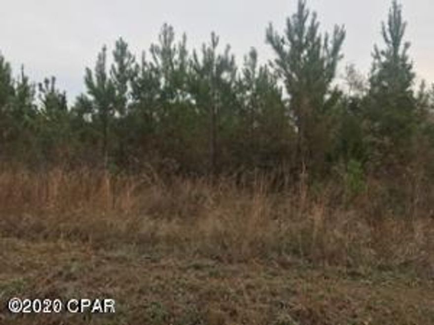 This 25.6 acre parcel has seven year old planted pines which makes a great investment for anyone. With no restrictions you can build your dream home or a mobile home.