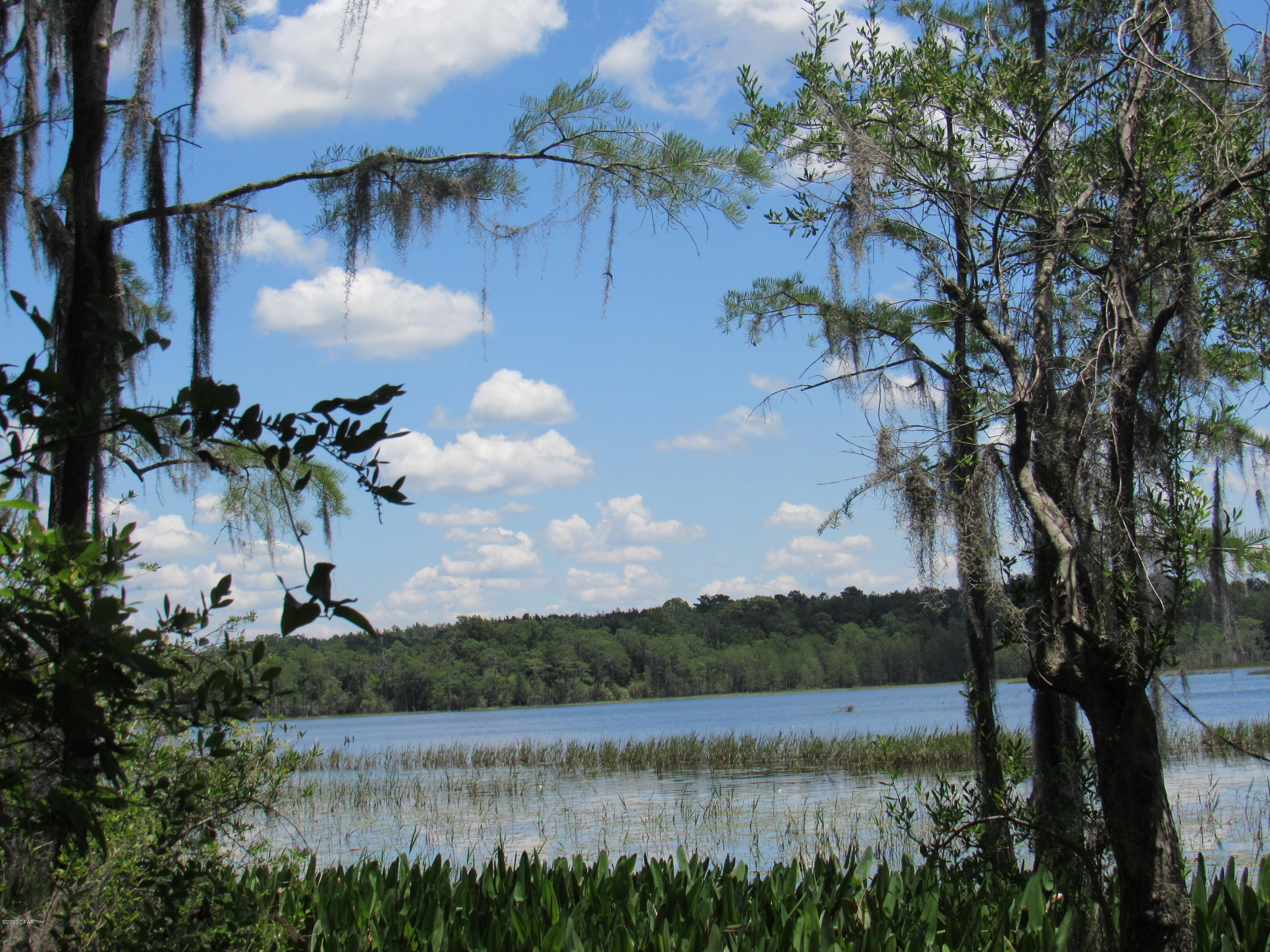 Paradise Oaks - Land
