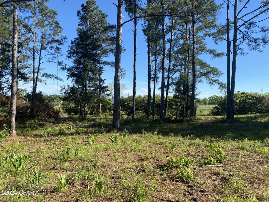 Rare find!! 0.55 acre buildable lot on a quiet, paved culdesac located so close to downtown Bonifay as well as interstate 10 intersection at State Rd 79. Manufactured homes allowed. This listing is for parcel ID# 0608.00-002-000-021.000, but parcel ID# 	
0608.00-002-000-020.000 is adjacent and can also be purchased. This beautiful property is lightly wooded with centipede grass already growing throughout. It is located just outside the city limits in the county and is zoned rural residential so mobile homes are allowed! City water is available but city sewage is not, will need a septic. Only a 52 minute drive to Pier Park at Panama City Beach and all the wonderful amenities offered there.