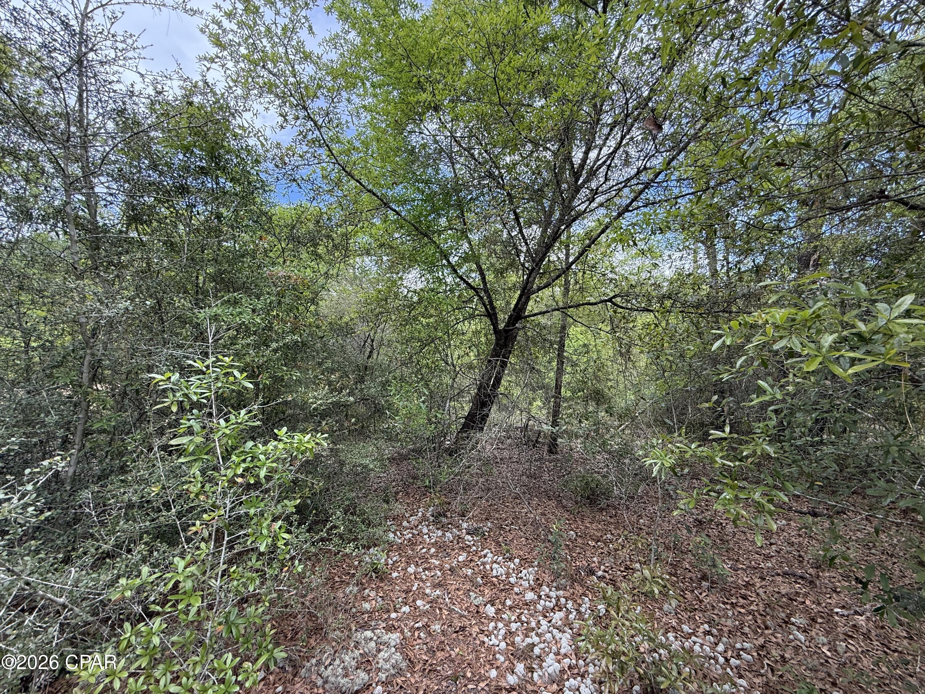 [No Recorded Subdiv] - Land