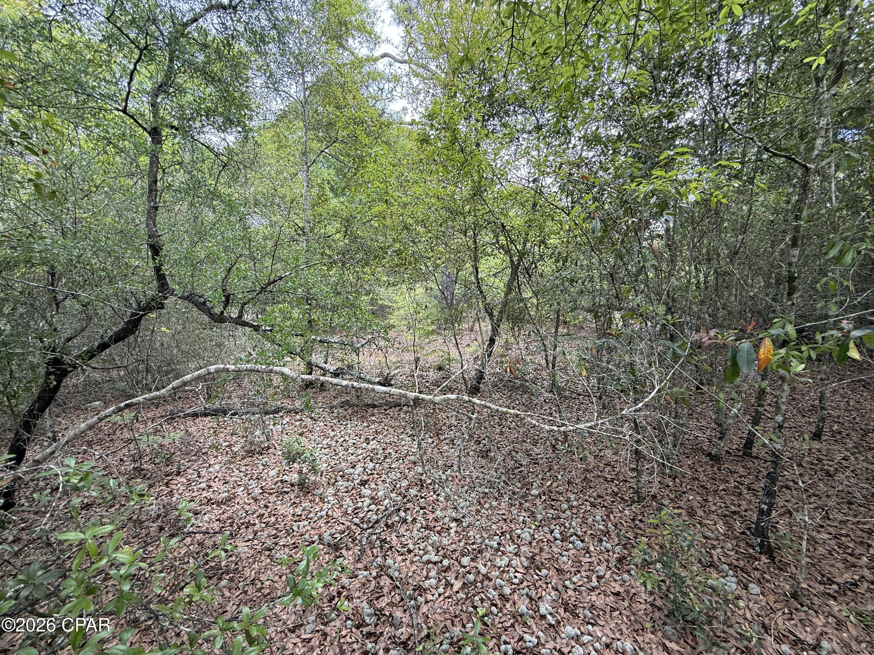 [No Recorded Subdiv] - Land