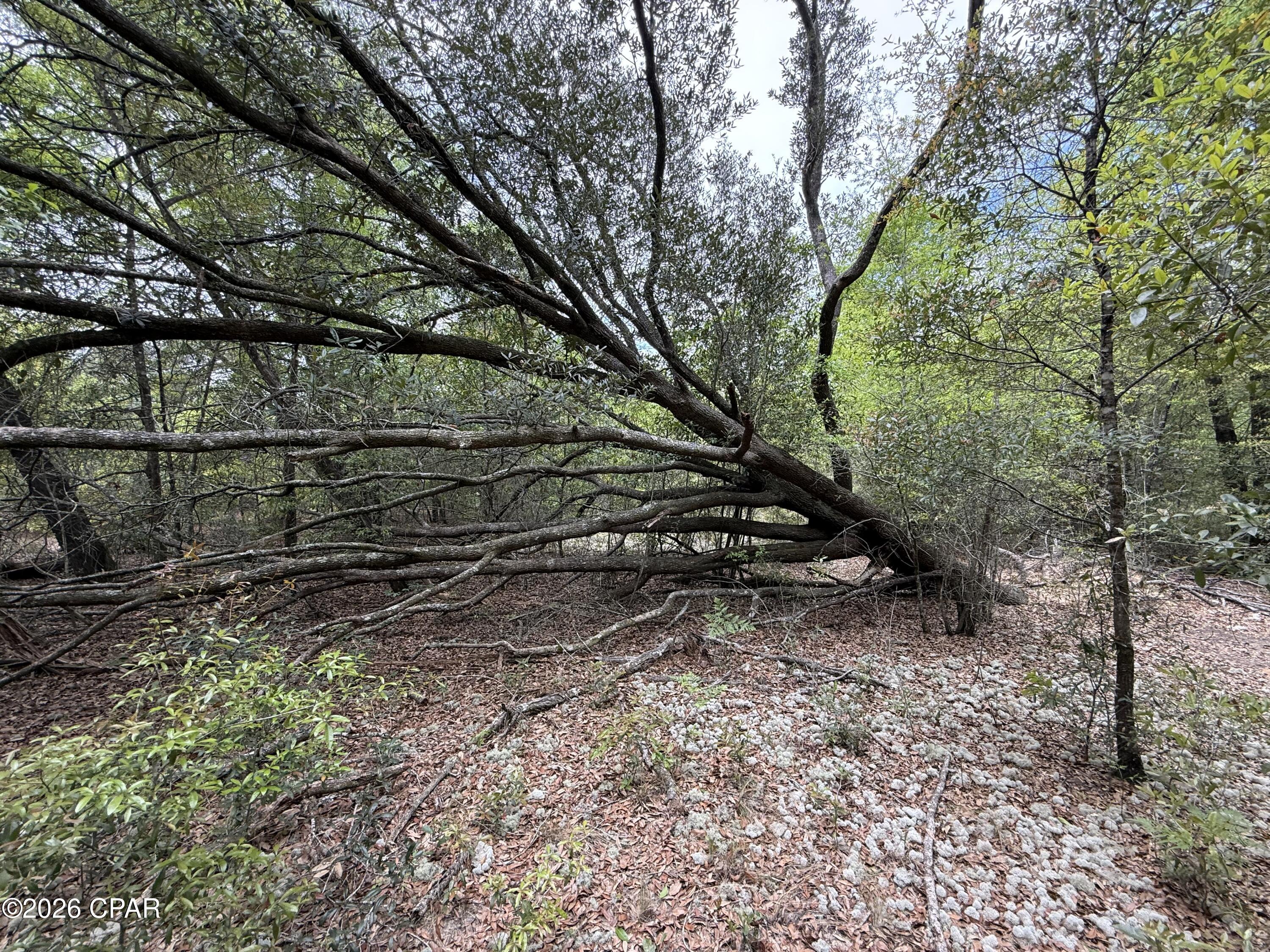 [No Recorded Subdiv] - Land