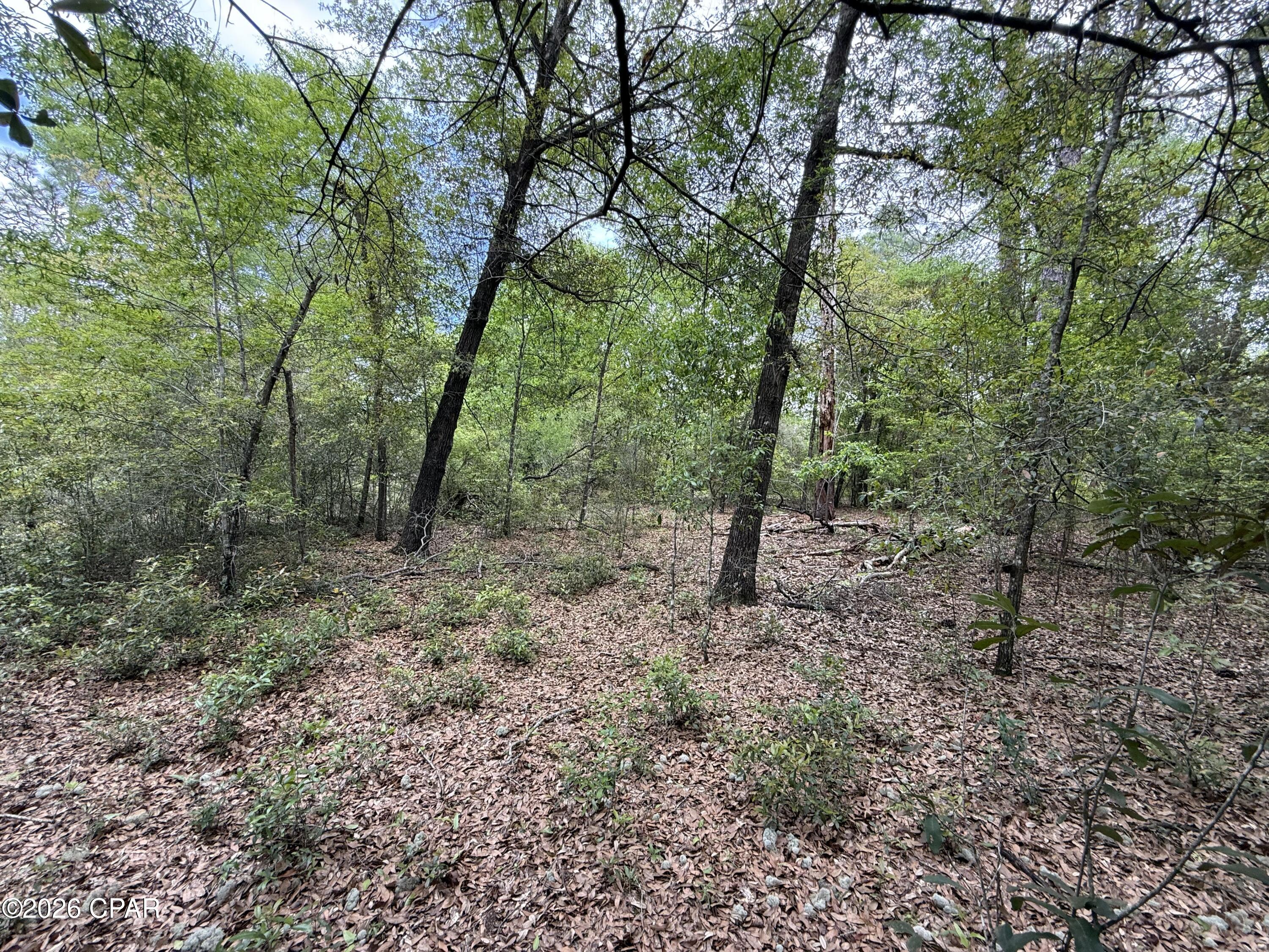 [No Recorded Subdiv] - Land