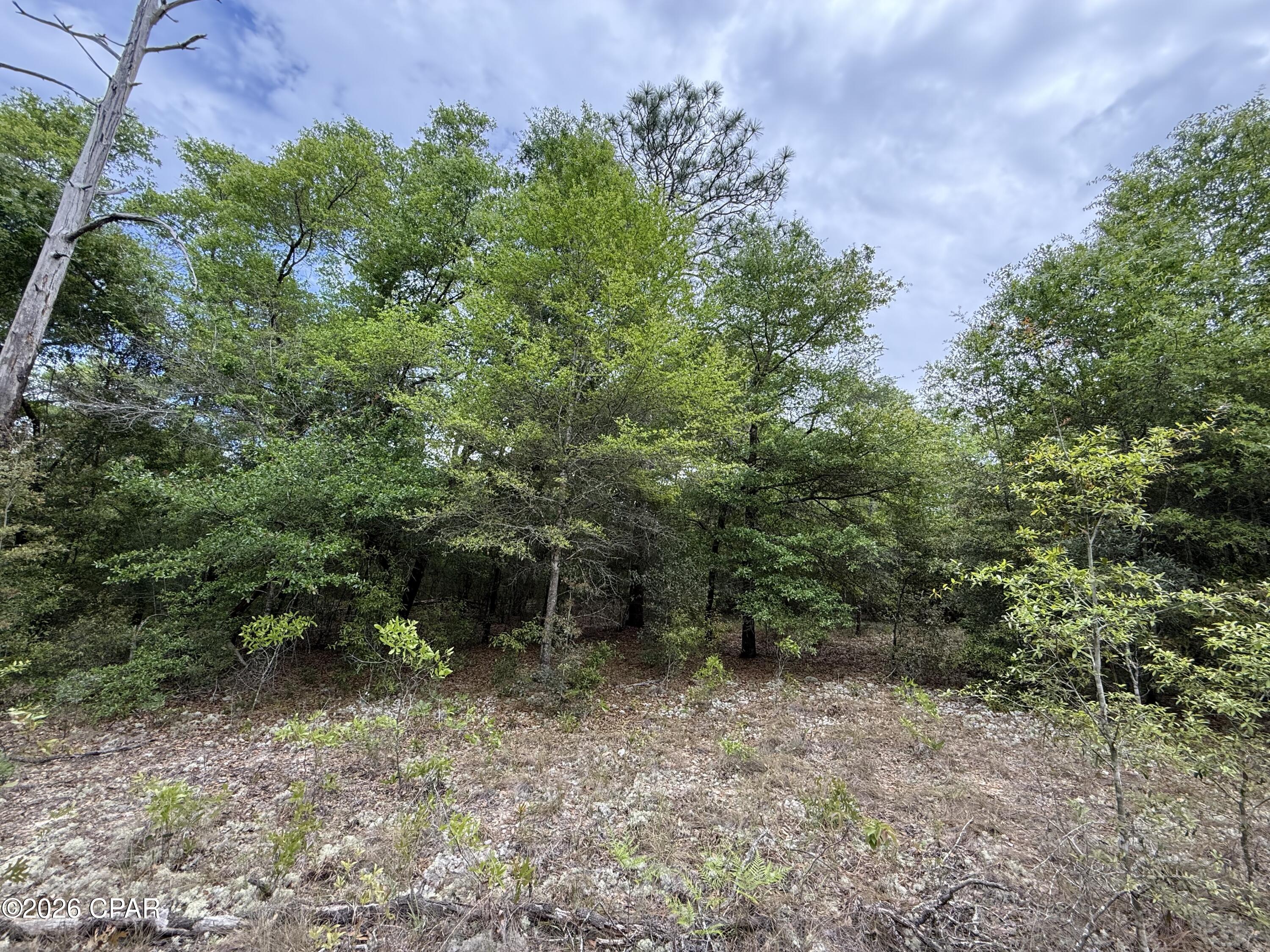 [No Recorded Subdiv] - Land