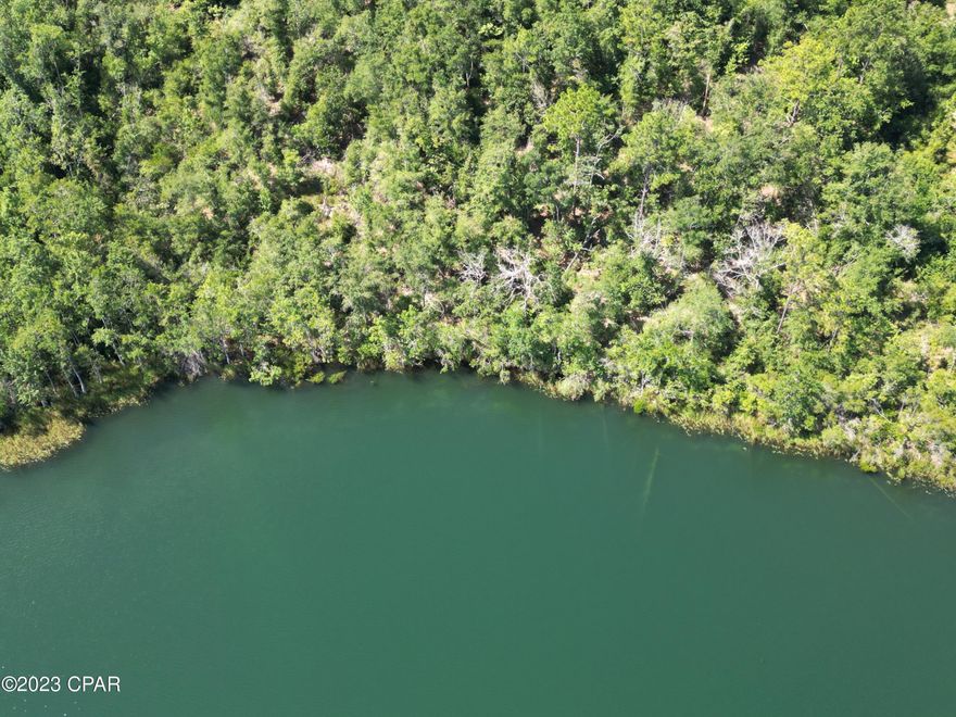 Very Rare and once in a lifetime find. Here's your chance to pick up a 11.2 acre tract of beautiful land with a spring fed lake off the beaten path.  Clear cold water with excellent fishing and or swimming.  No gasoline motors allowed. Just south of Marianna Approx 10 miles from I-10.  Quiet area,  Power line already on the property.  Why not build a getaway home , Lots of shade trees.  Don't miss this one.