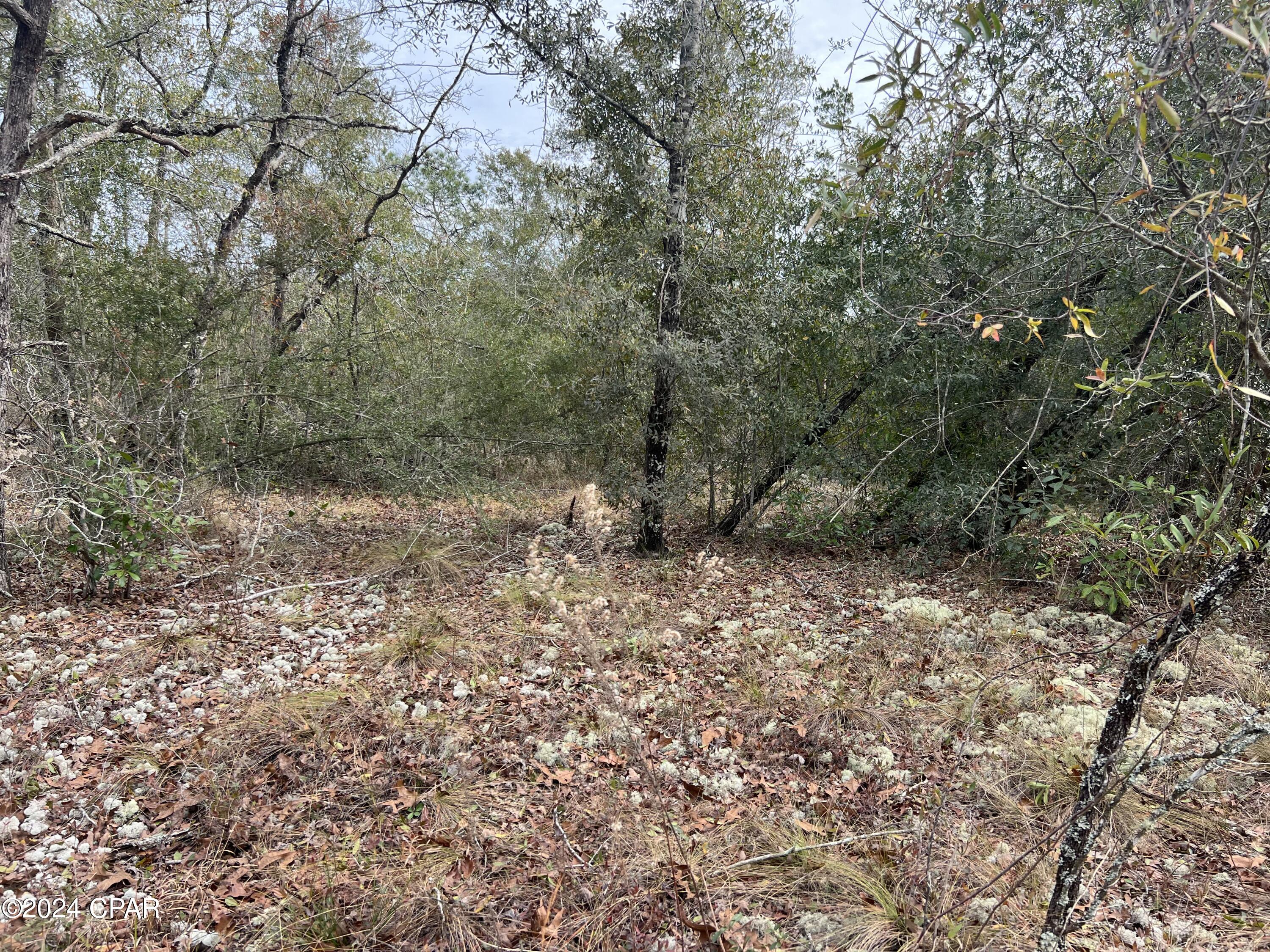 [No Recorded Subdiv] - Land