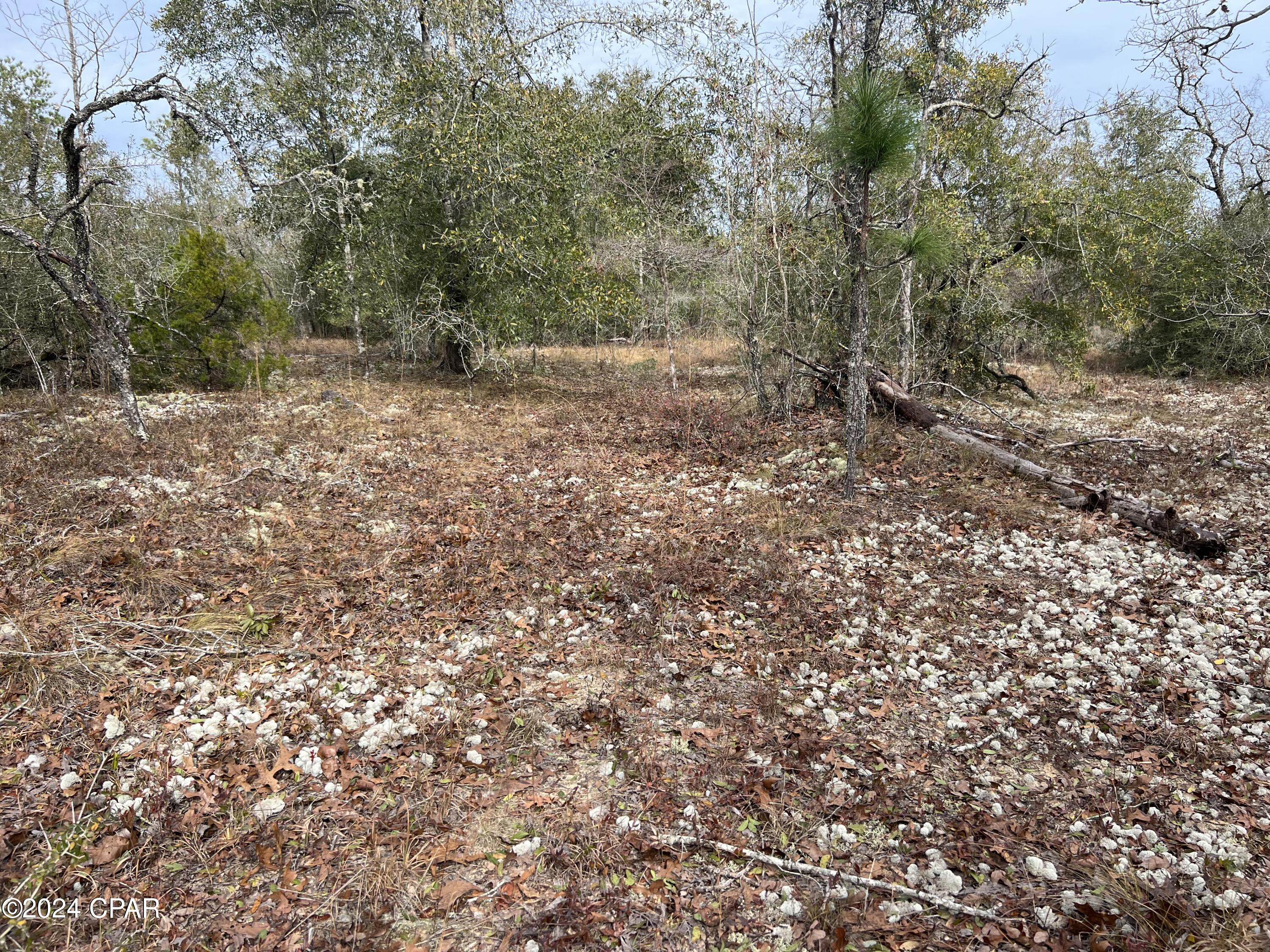 [No Recorded Subdiv] - Land