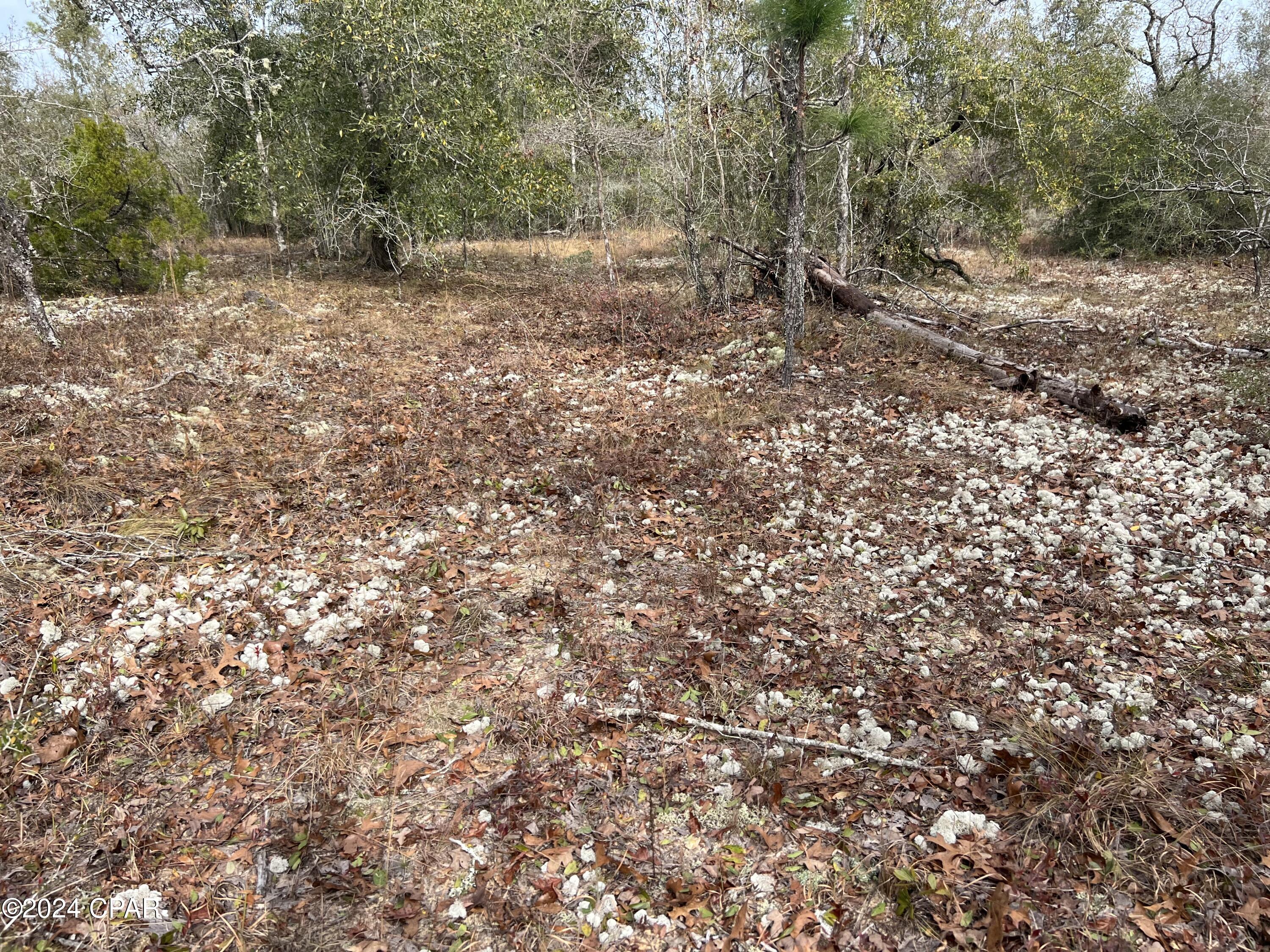 [No Recorded Subdiv] - Land