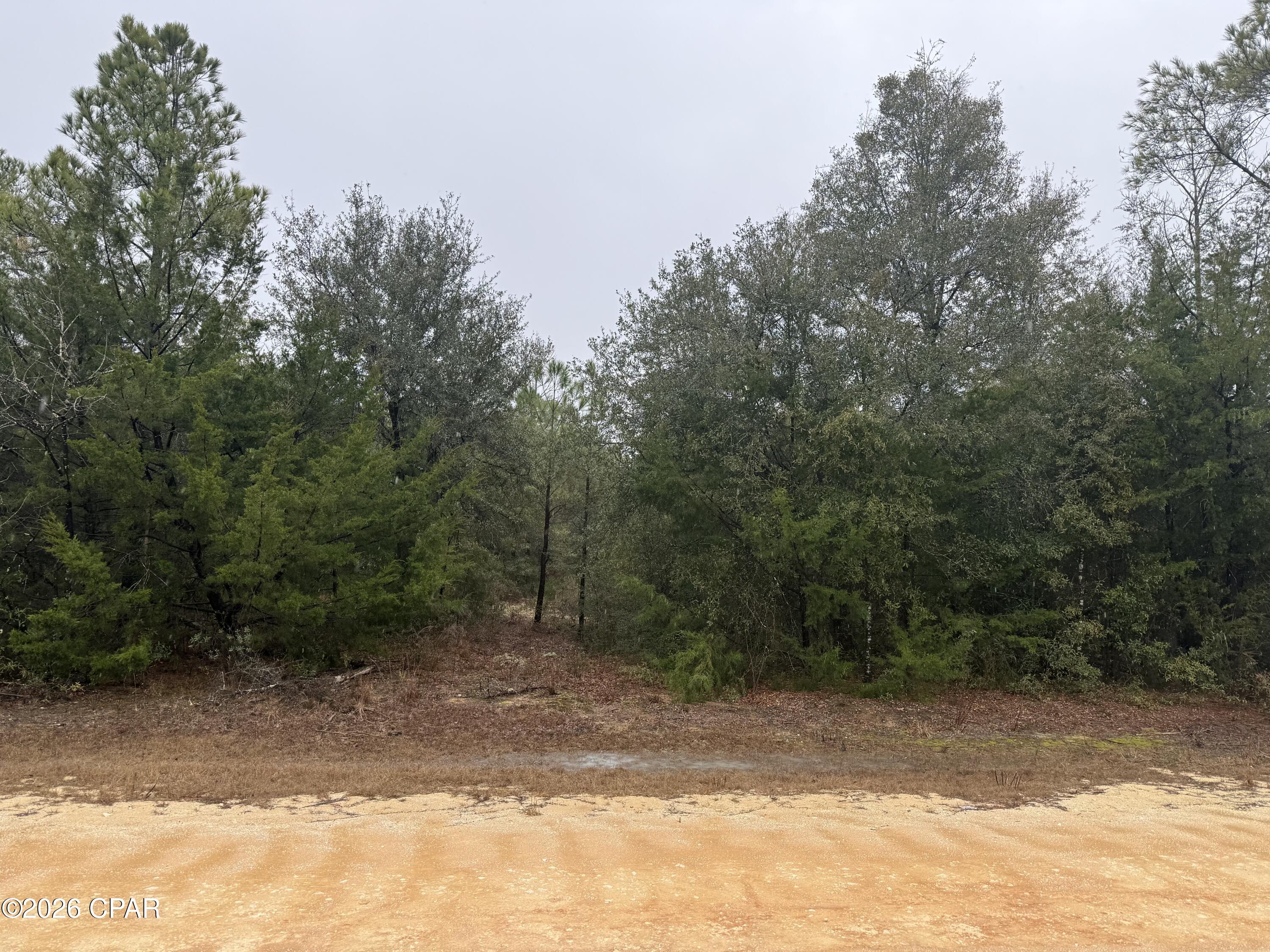 Compass Lake Hills Unit 1 - Land