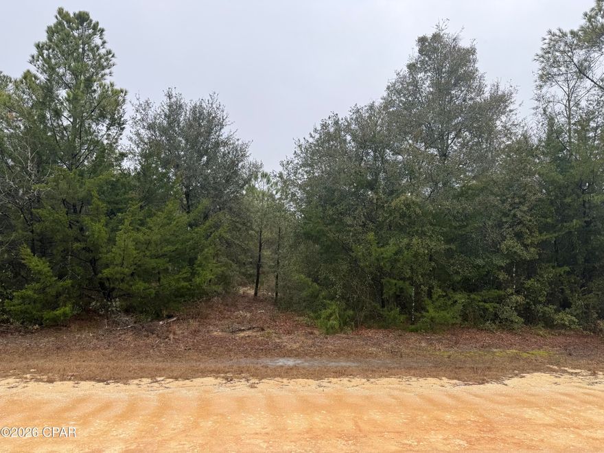 Great area for your home site. Build a new home or New mobile home here. County maintained road, with easy access to CLH Lodge or Fish Compass Lake. Excellent fishing, swimming, boating or enjoy a day at Lake McCormick at the pin-nic playground area with swimming or fishing. Volunteer Property Owners Association. Electric lines directly in front of the property.