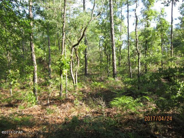 Buckhorn Creek - Land